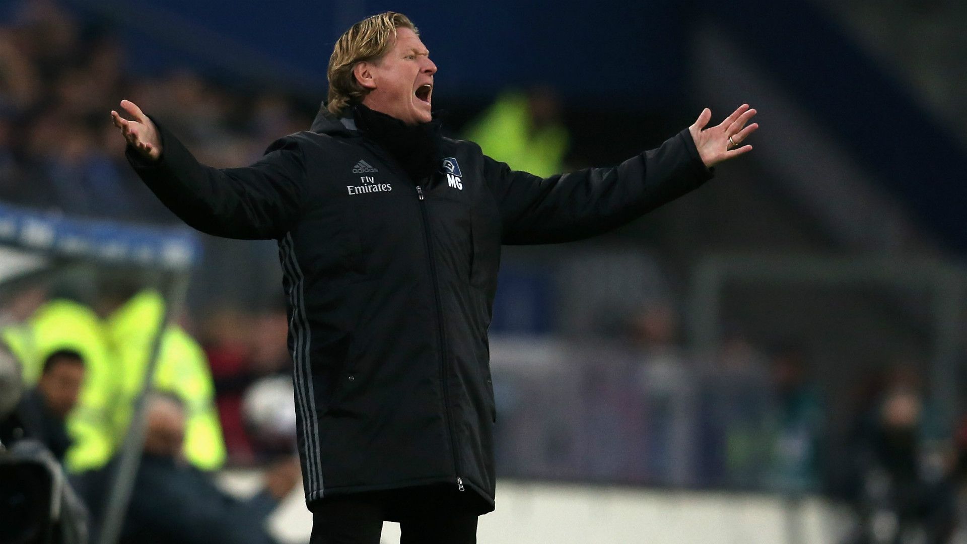 Markus Gisdol Hamburger SV
