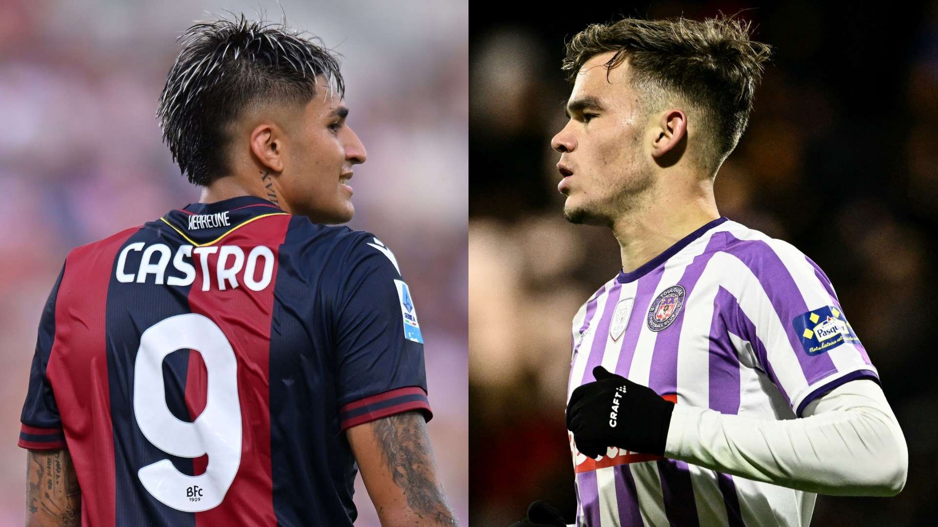 Castro Dallinga Bologna