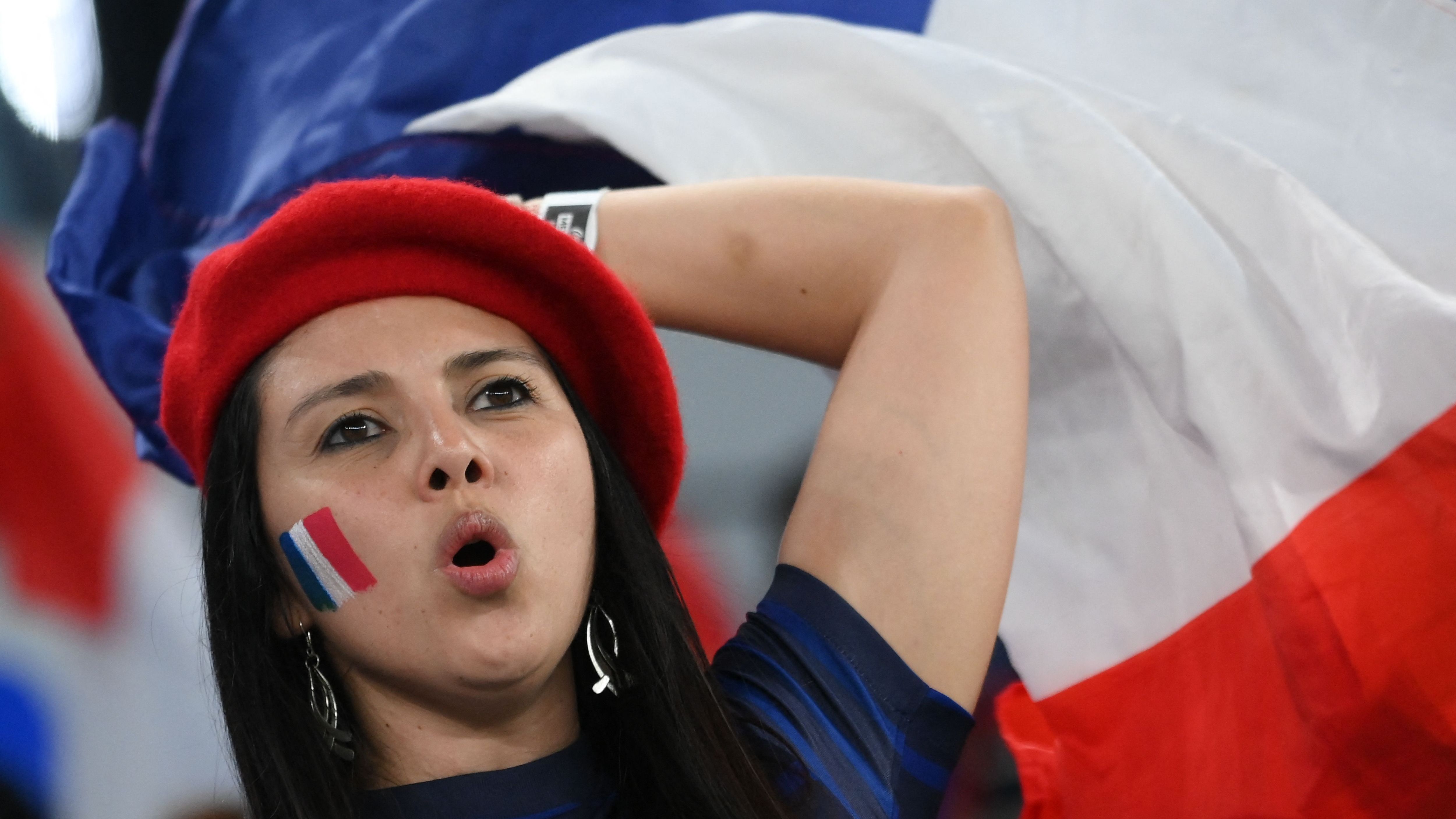 France fan - 2022 World Cup