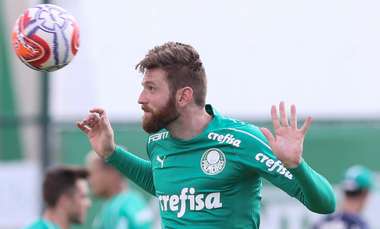 Fabiano Palmeiras 130419