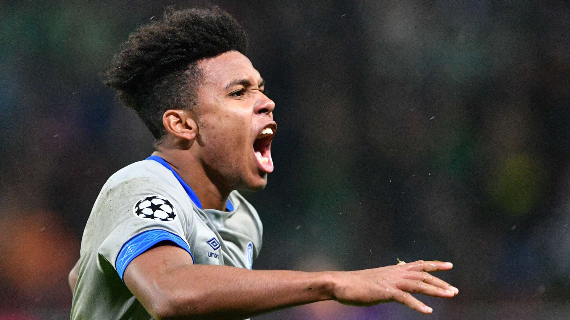WESTON MCKENNIE SCHALKE