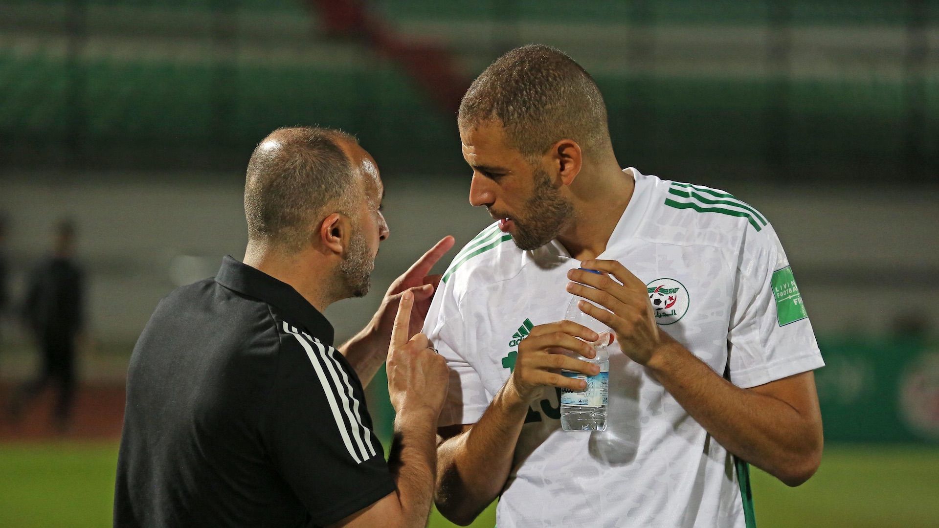 Djamel Belmadi & Islam Slimani, Algeria