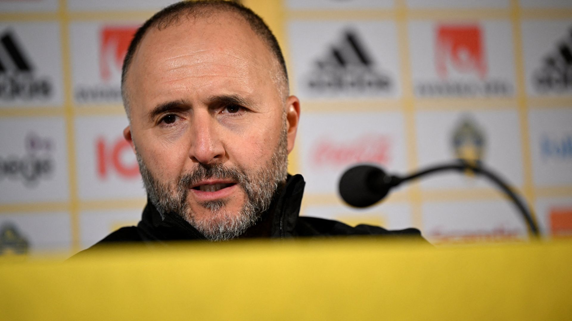 Djamel Belmadi Algeria