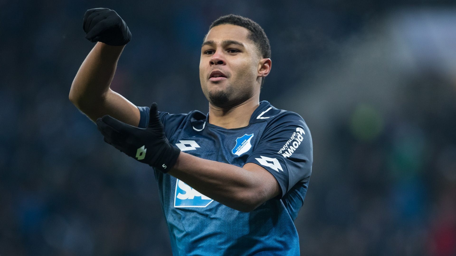 Serge Gnabry TSG Hoffenheim Bundesliga 1217