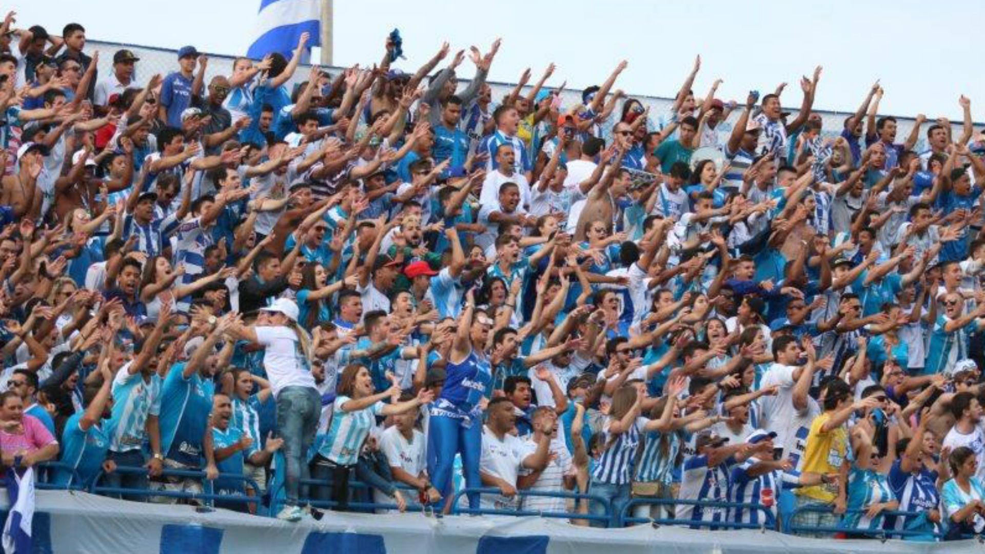 Torcida Avaí - Série B 19112016