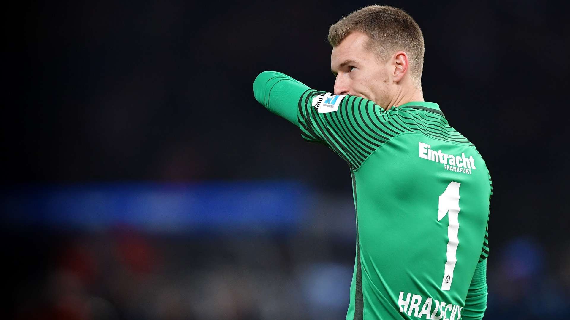 lukas hradecky eintracht frankfurt bundesliga 022517