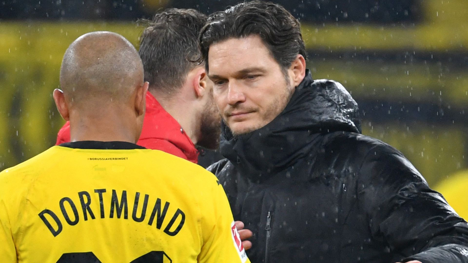 EDIN TERZIC BORUSSIA DORTMUND 