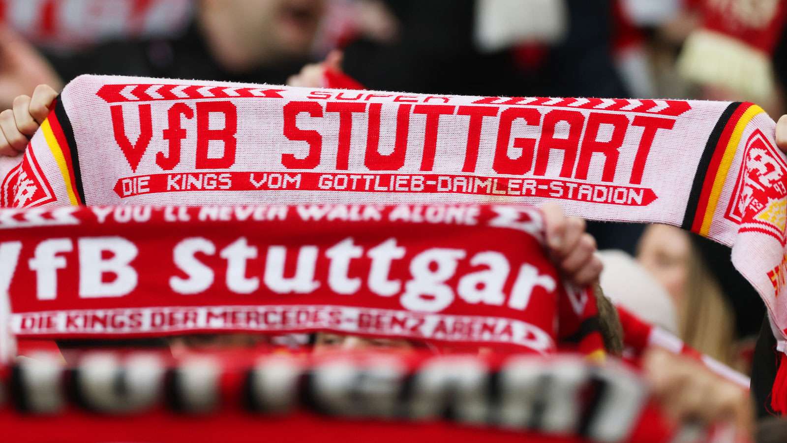VfB Stuttgart Fans