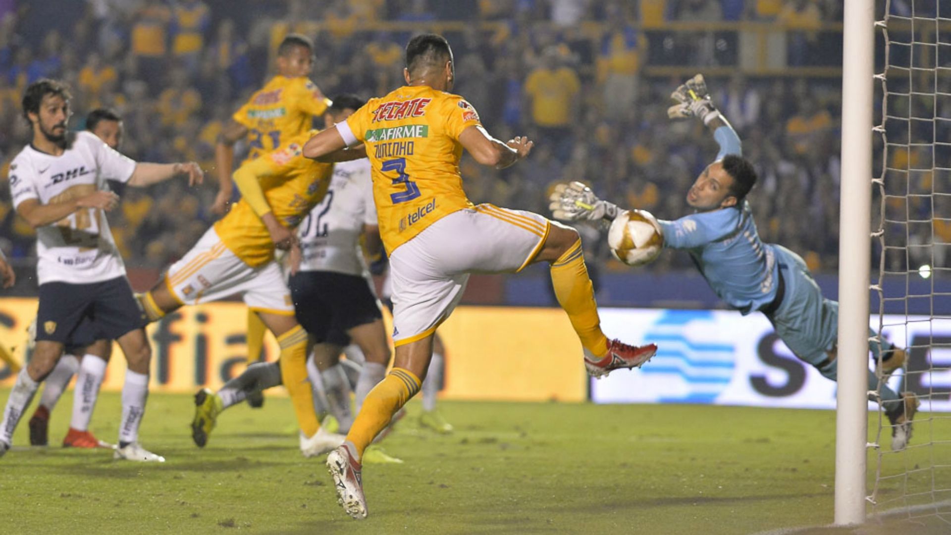 Pumas Tigres