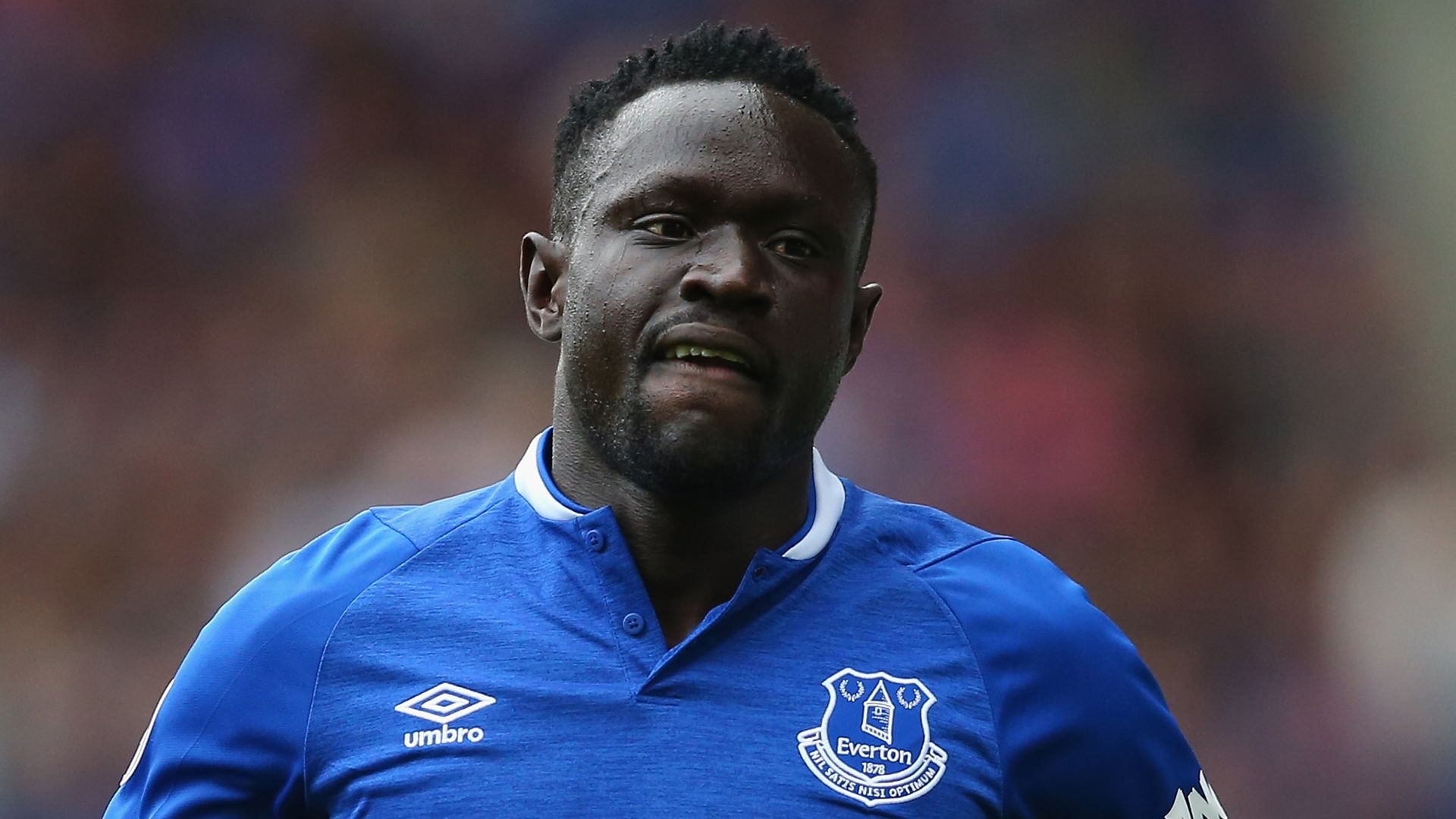 Oumar Niasse Everton 2018-19