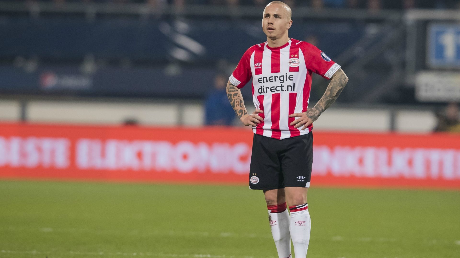 Angelino PSV 02162019