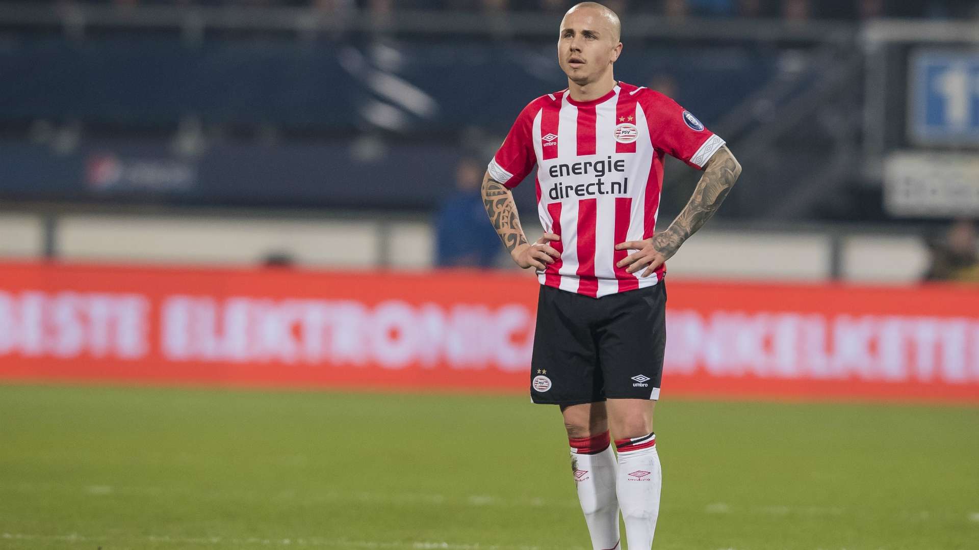 Angelino PSV 02162019