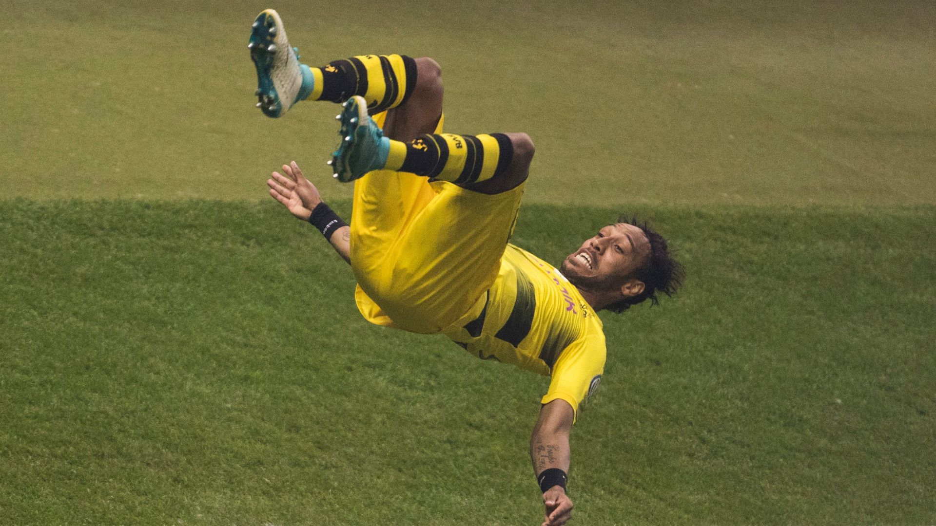Pierre-Emerick Aubameyang Borussia Dortmund