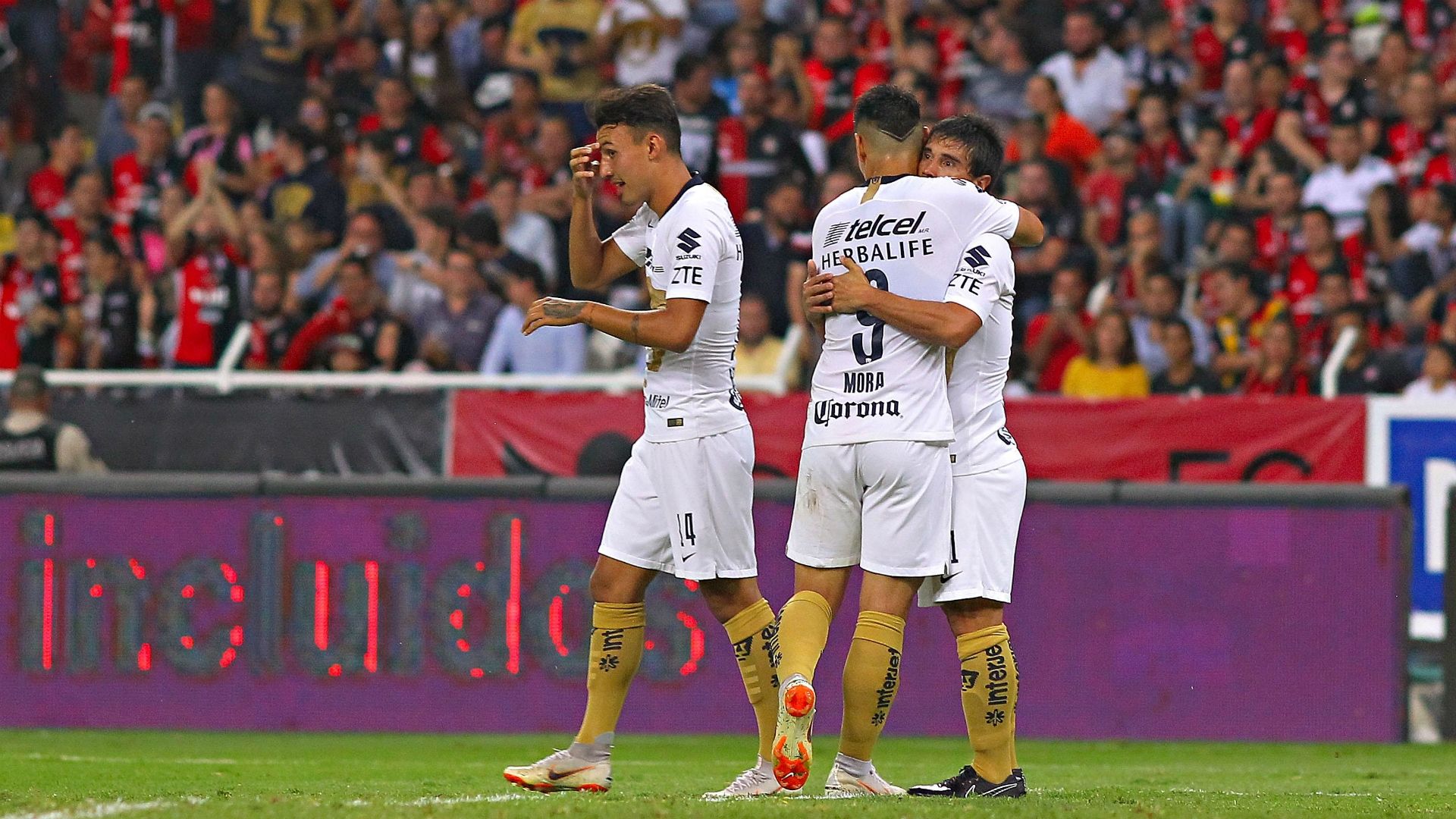 Pumas