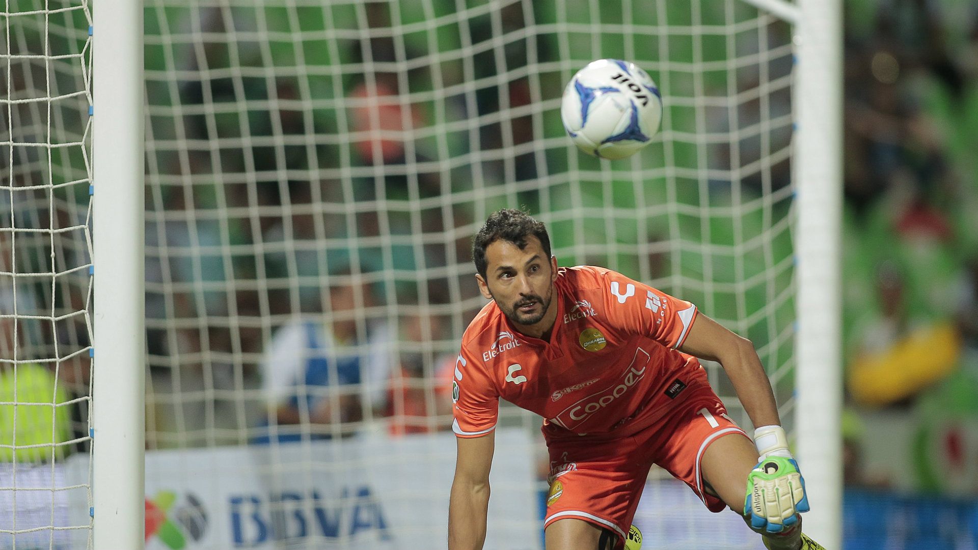Luis Michel