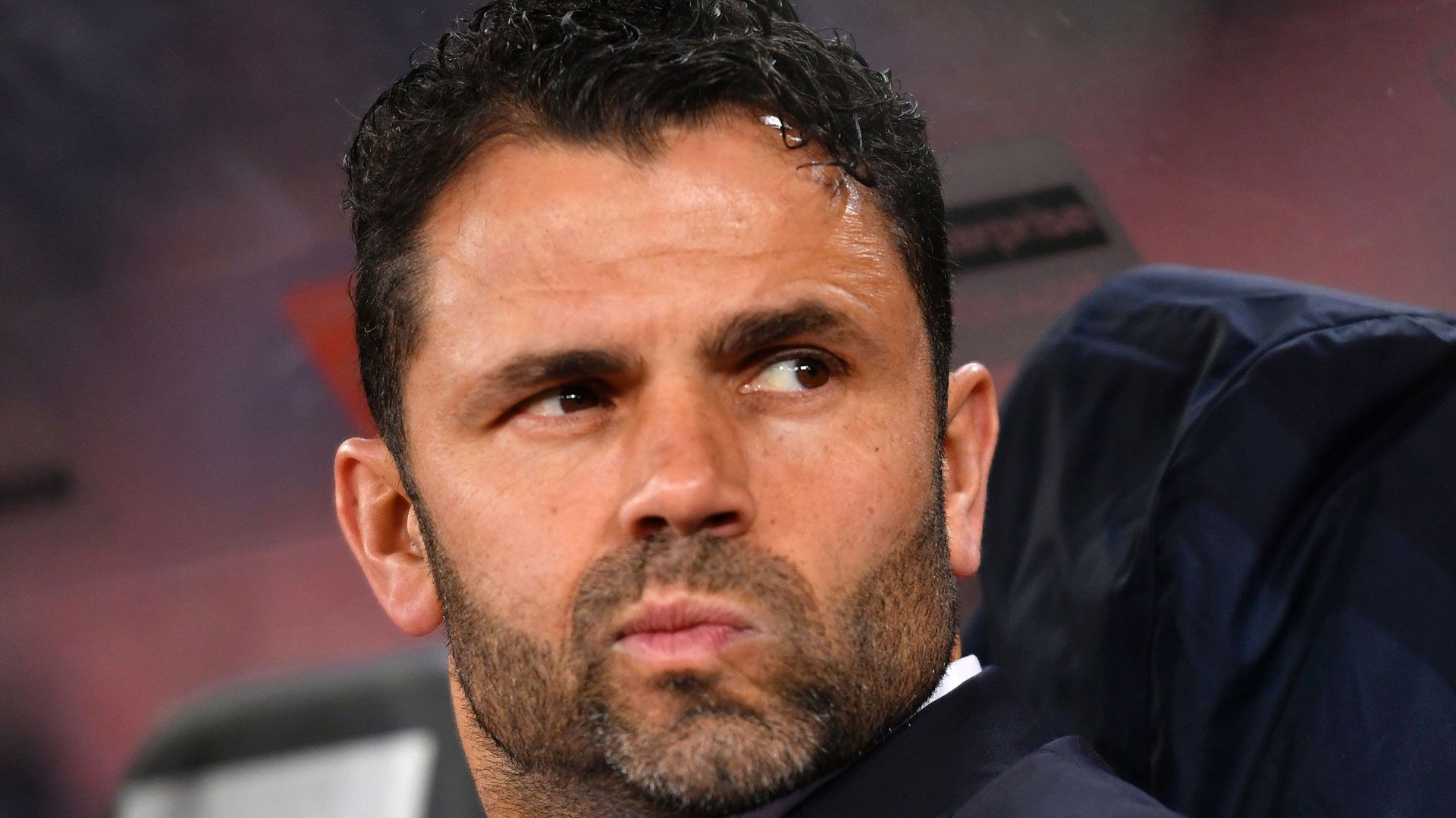 Grasshoppers Zürich Uli Forte