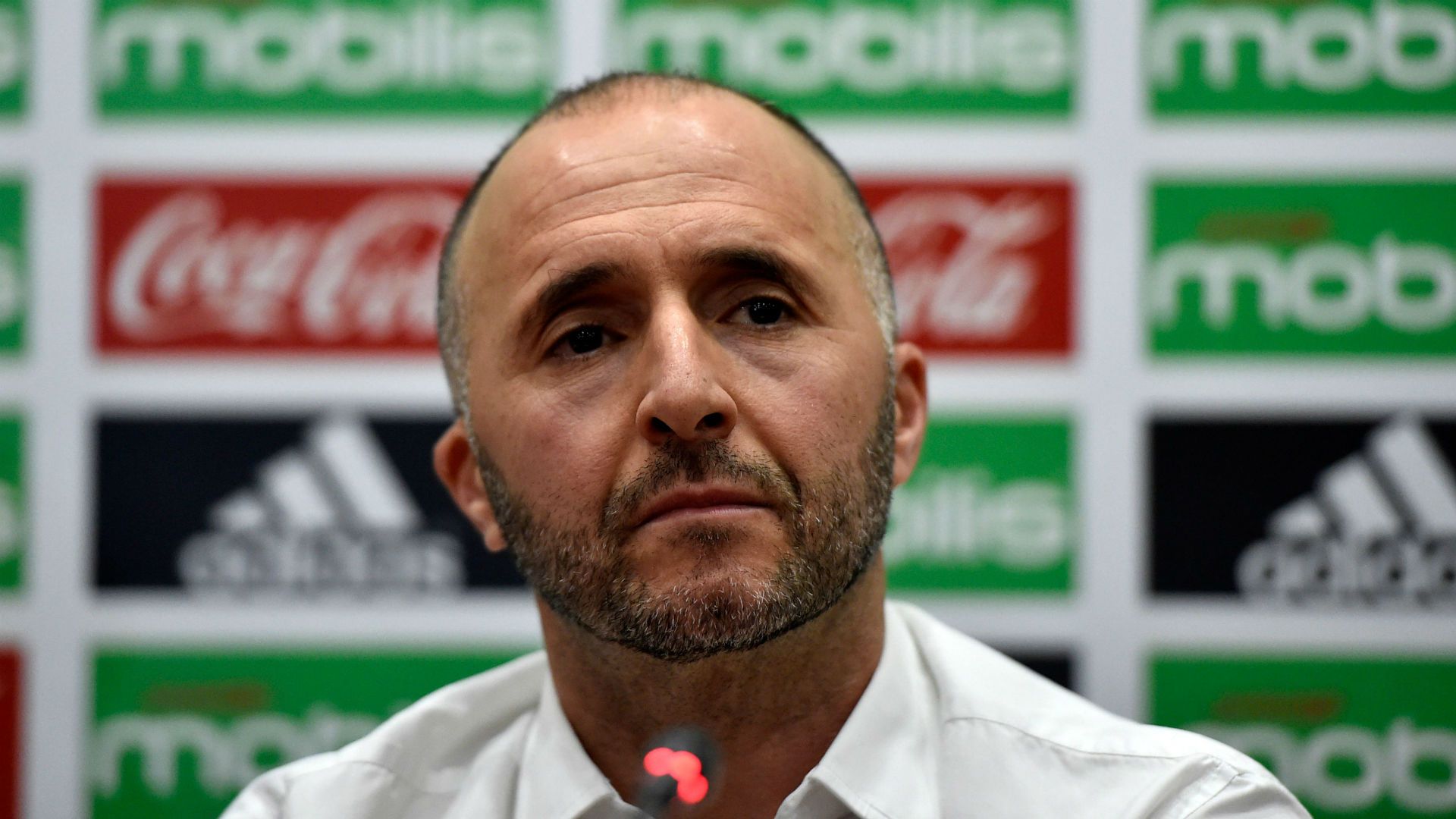 Djamel Belmadi Algeria