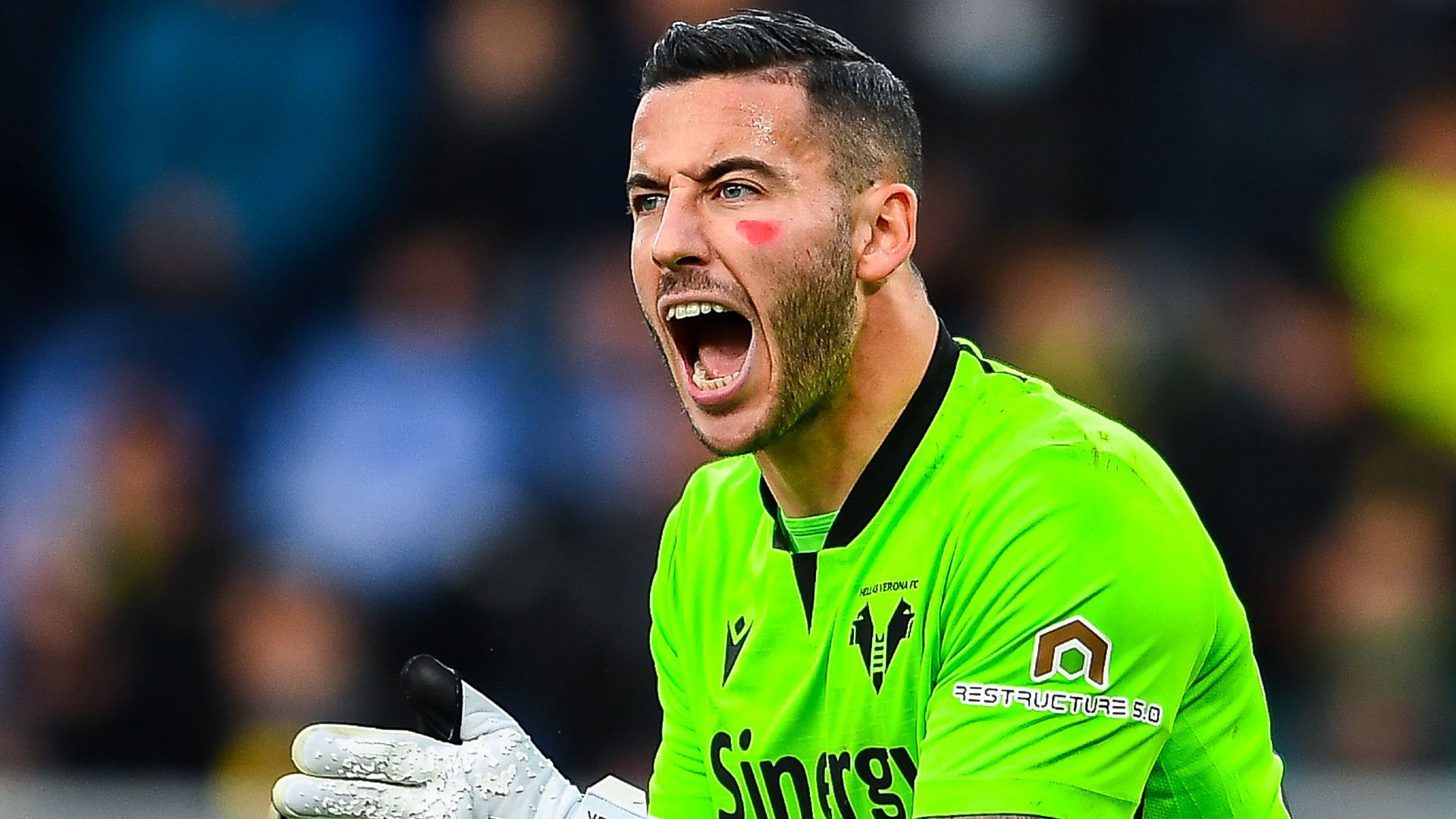 Lorenzo Montipò Sampdoria Verona Serie A