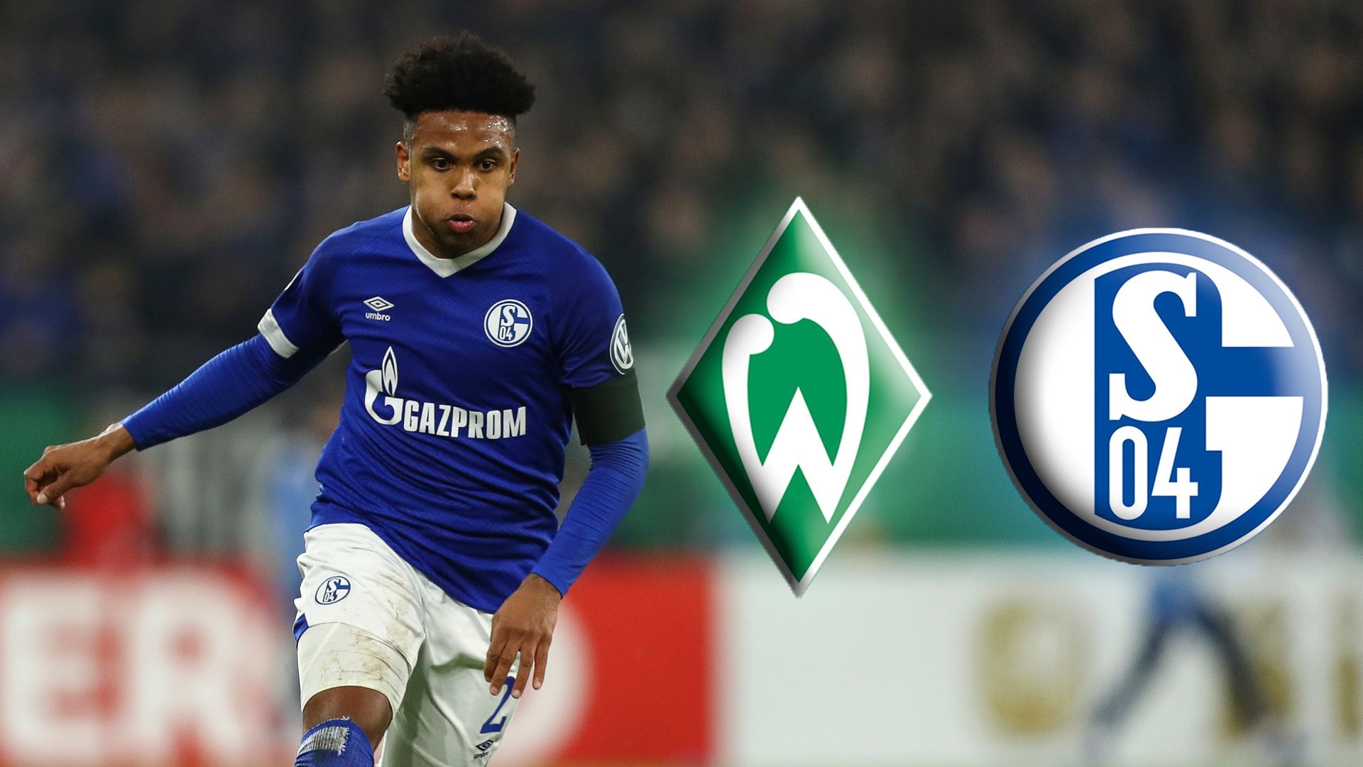Bremen Schalke TV LIVE STREAM Bundesliga