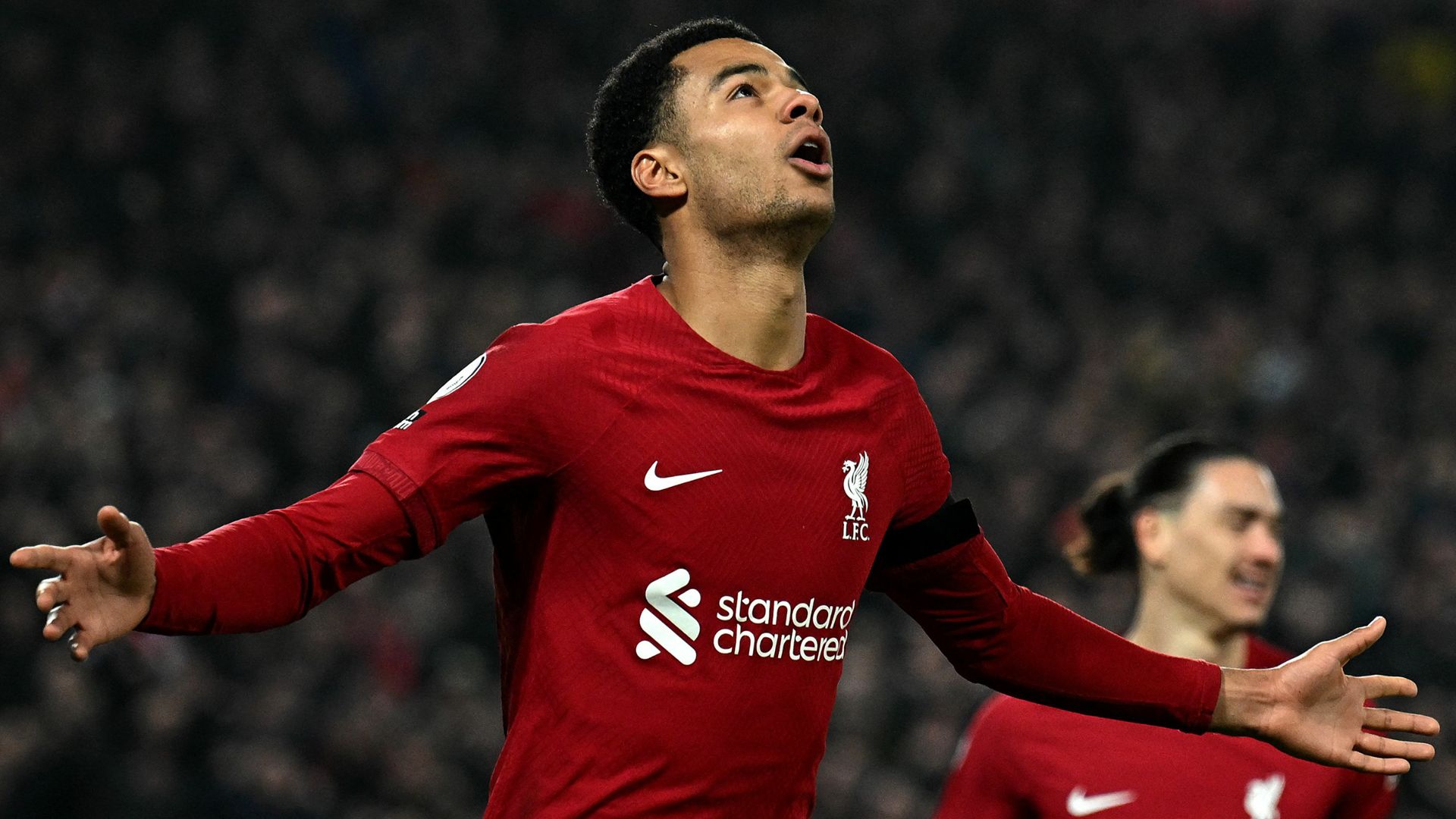 Cody Gakpo Liverpool 2022-23