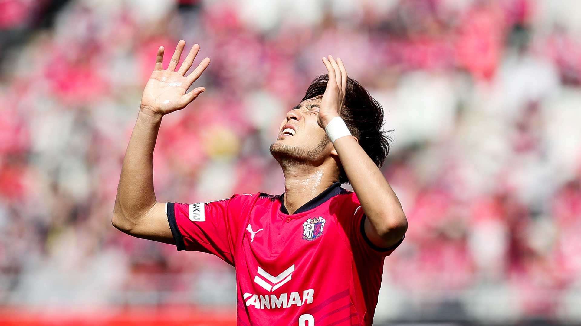 2017-04-16-cerezo-SUGIMOTO Kenyu.jpg