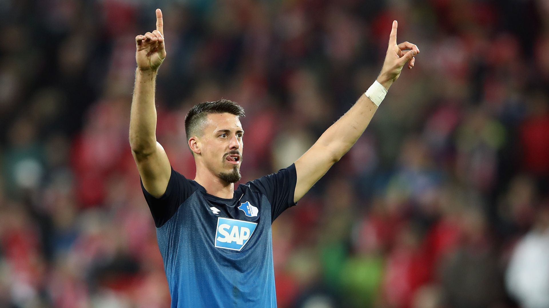 Hoffenheim Sandro Wagner 20092017