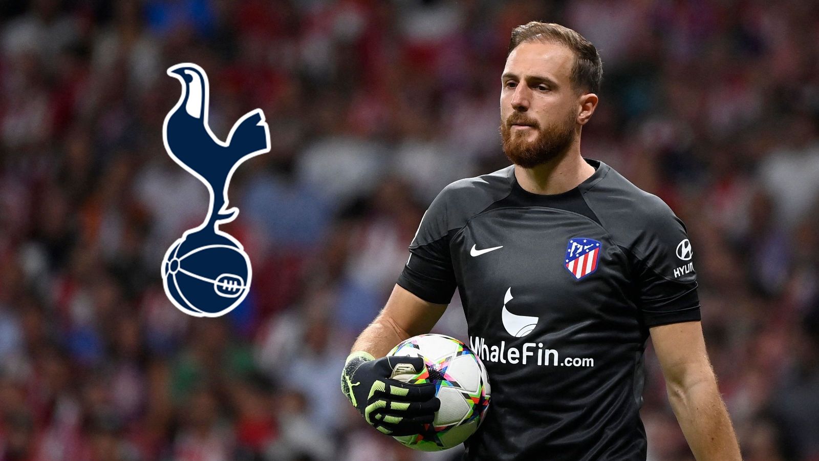 Jan Oblak Tottenham GFX