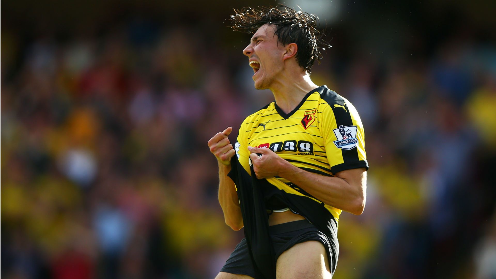 Steven Berghuis Premier League Watford v Swansea 120915