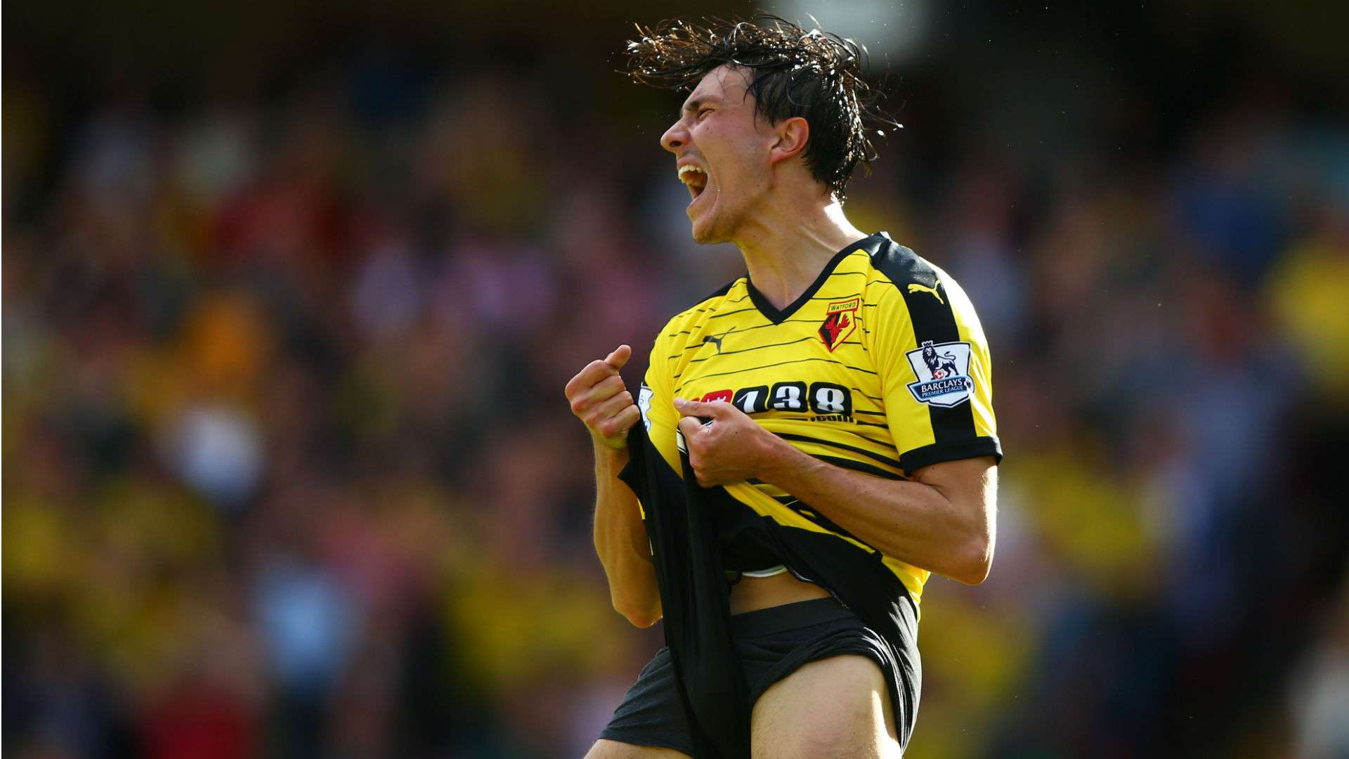Steven Berghuis Premier League Watford v Swansea 120915