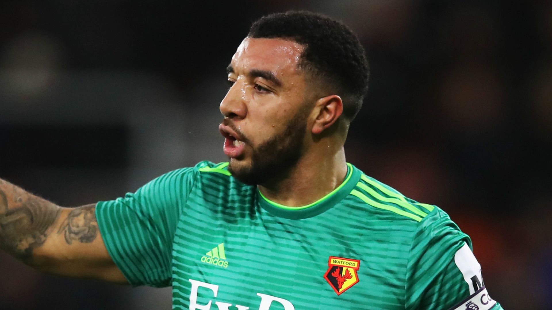 Troy Deeney Watford 2018-19
