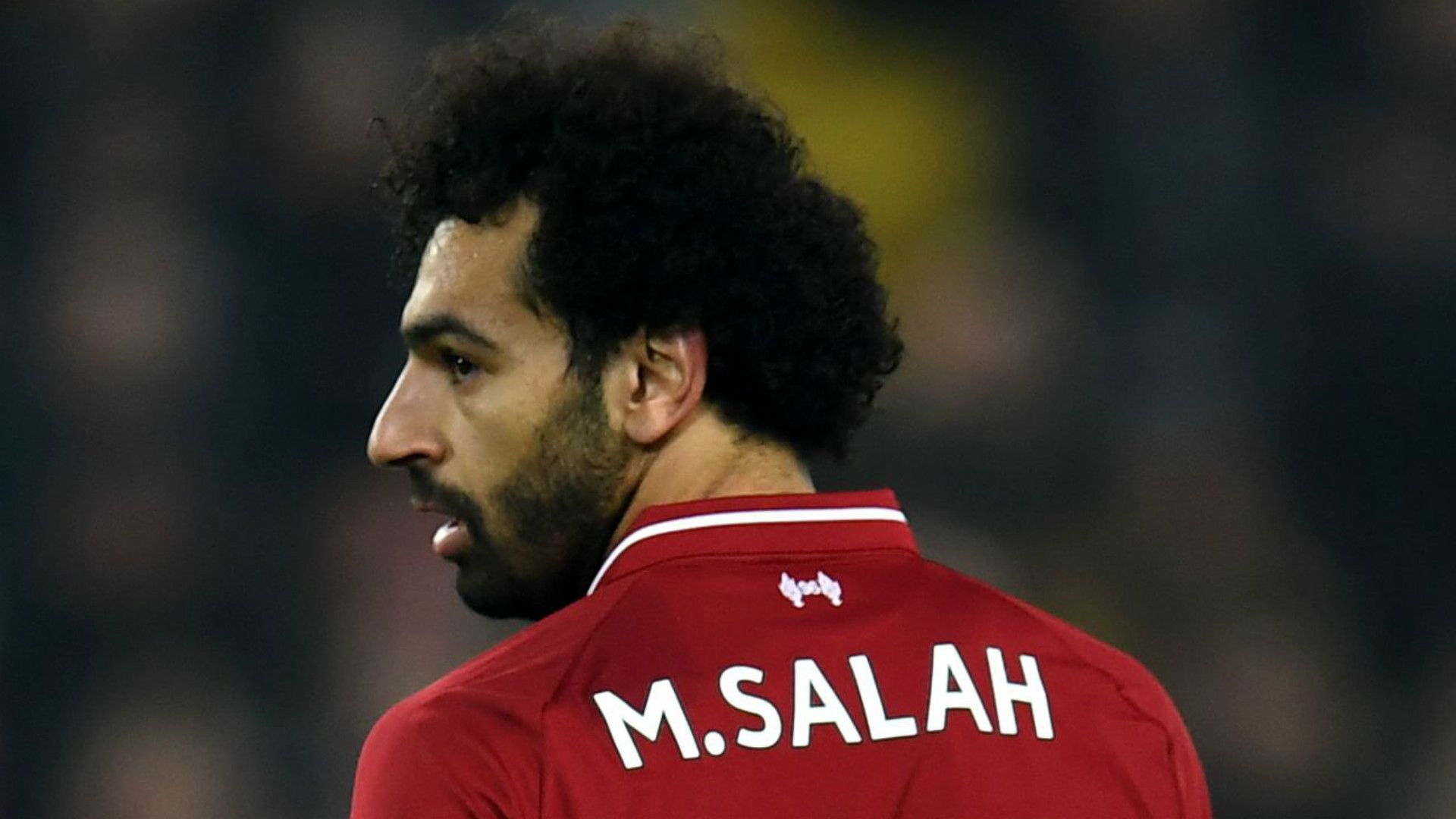 Mohamed Salah Liverpool 2018-19