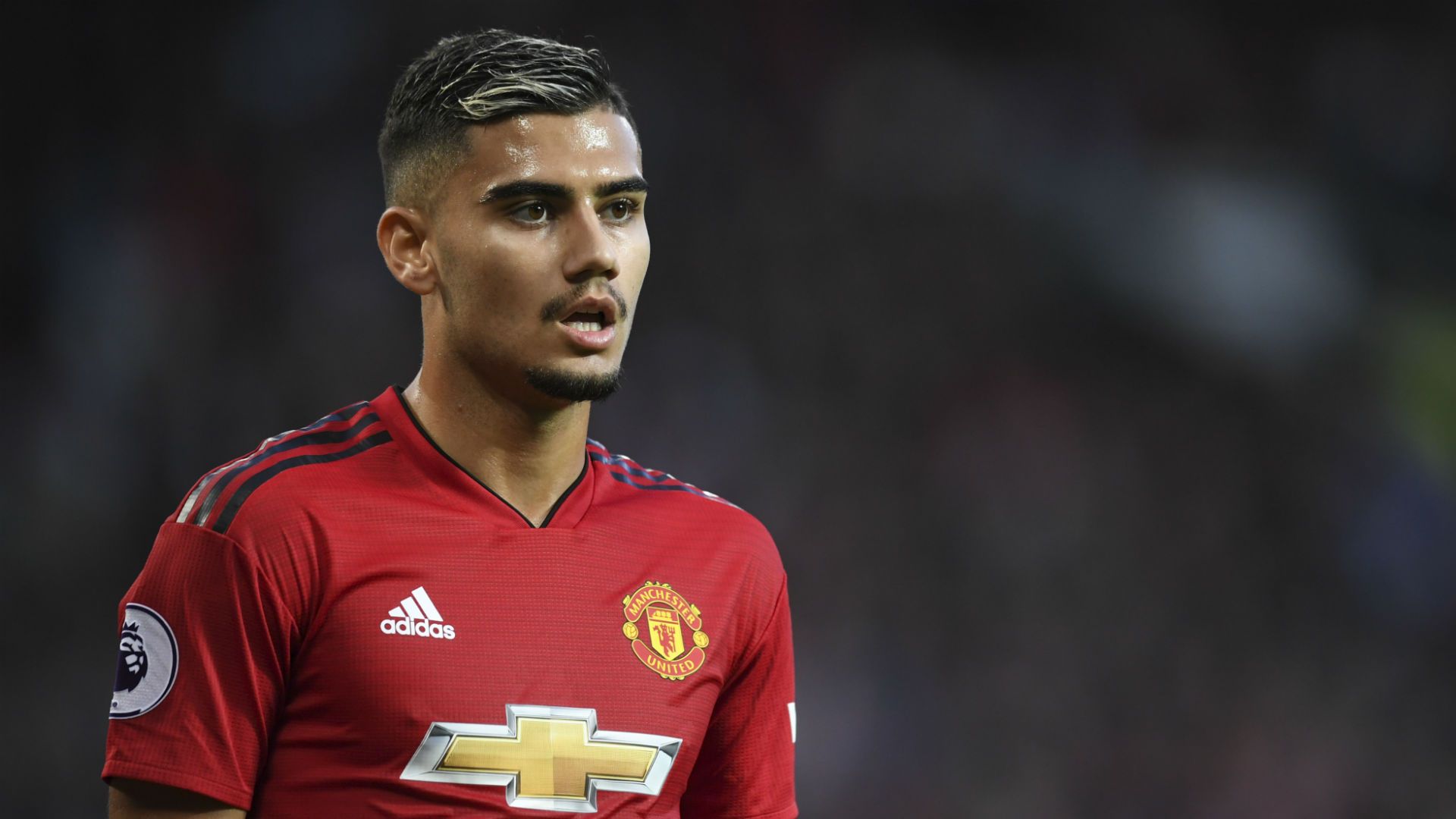 Andreas Pereira Manchester United 2018-19