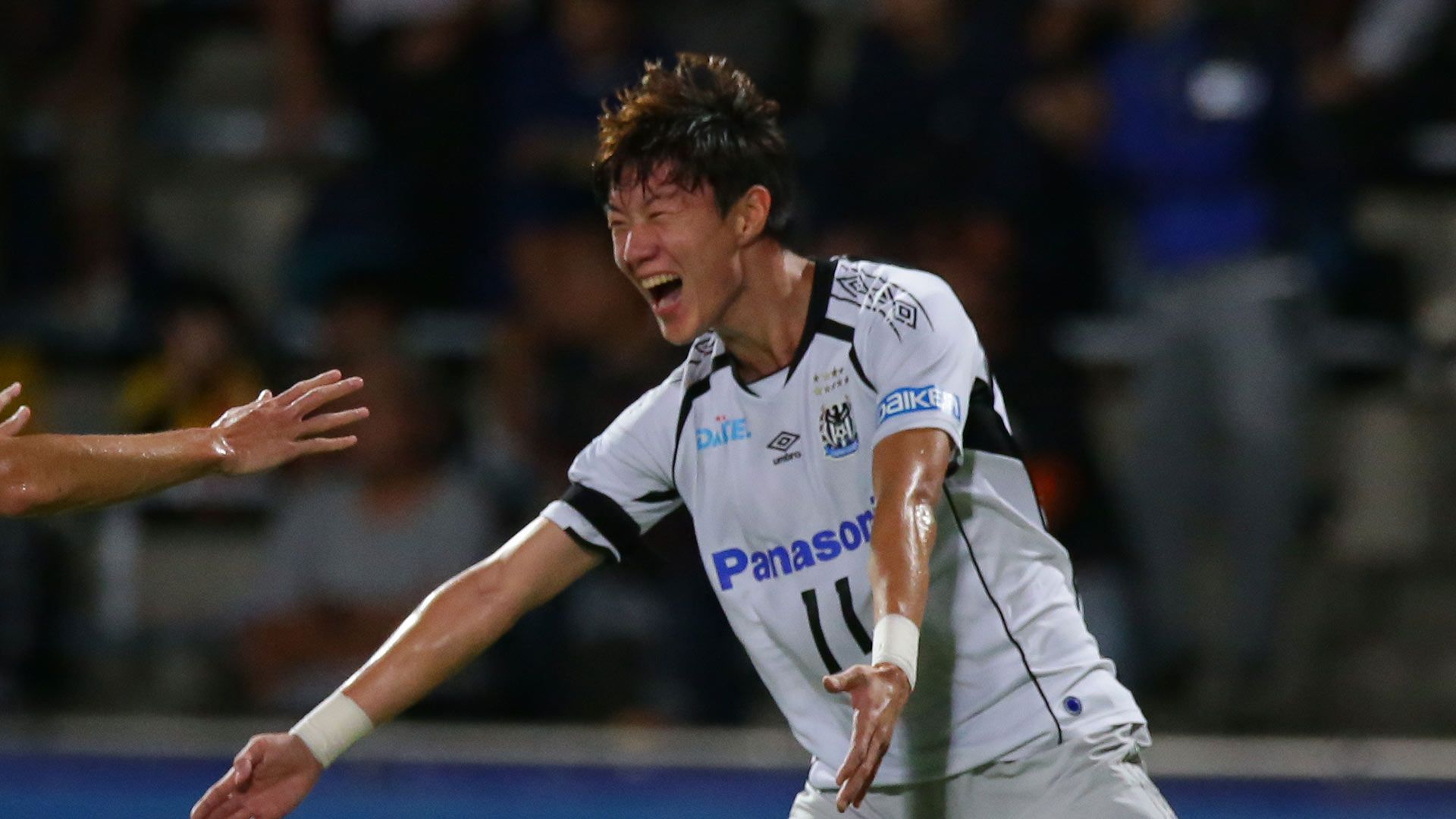 2018_11_3_gamba2