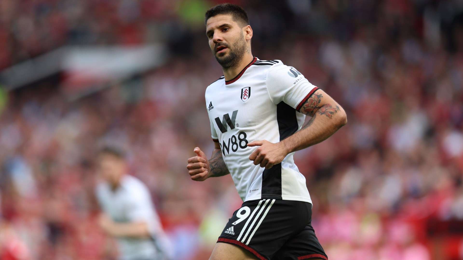 Mitrovic-Fulham