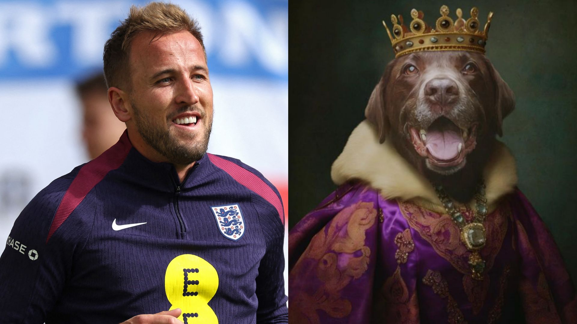 Harry Kane dog split