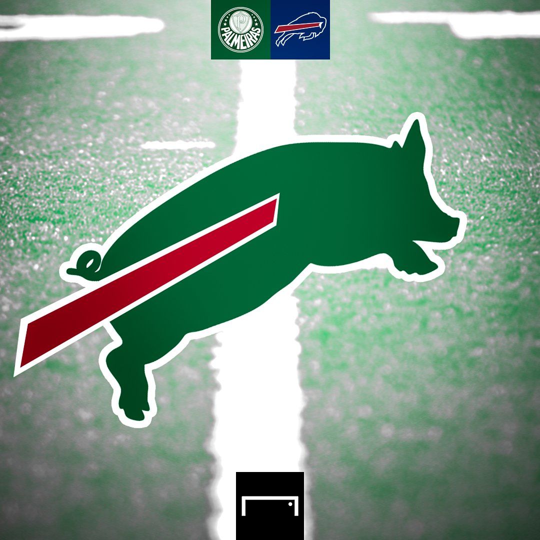 Palmeiras NFL arte