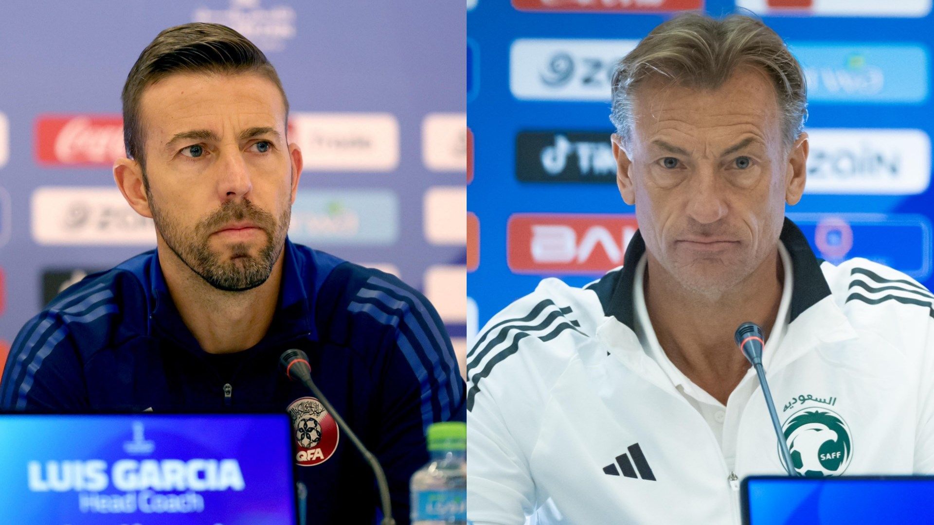 Luis Garcia Herve Renard