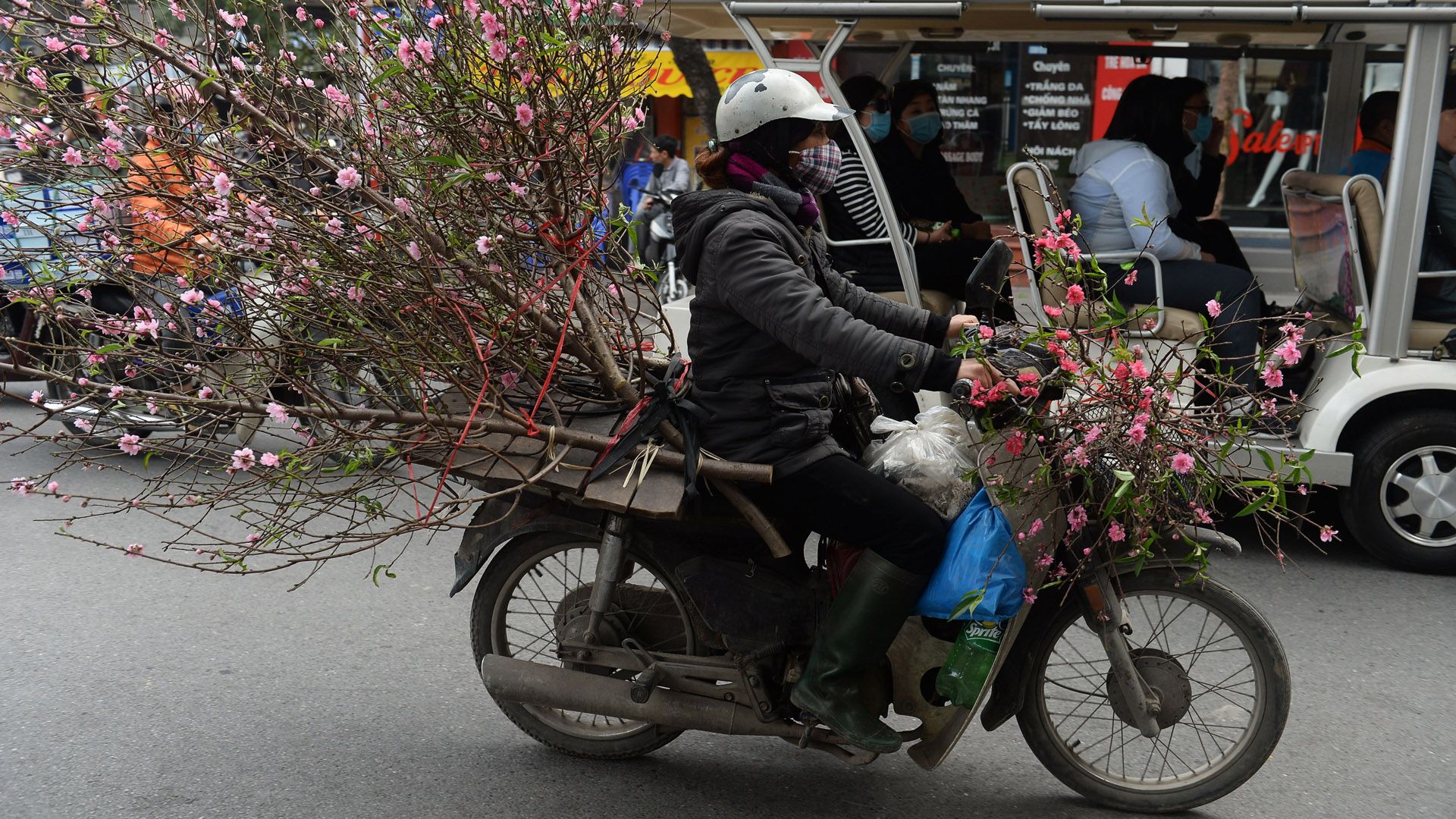 Vietnam Lunar new year