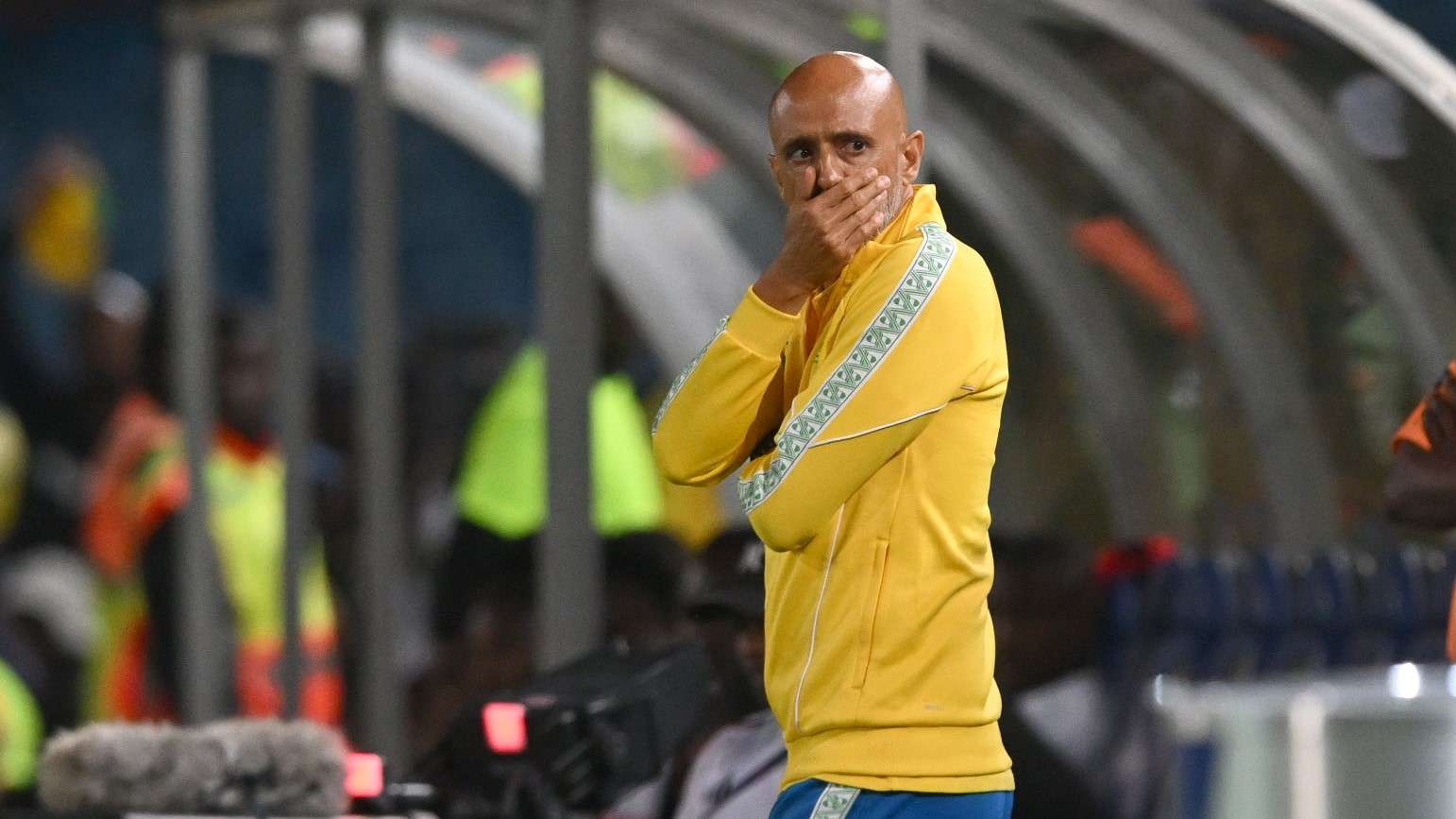 Miguel Cardoso, Mamelodi Sundowns November 2025