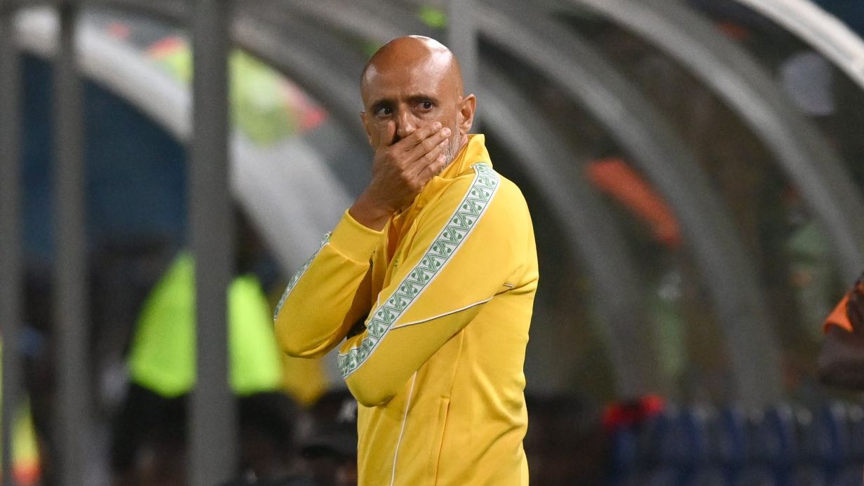 Miguel Cardoso, Mamelodi Sundowns November 2025