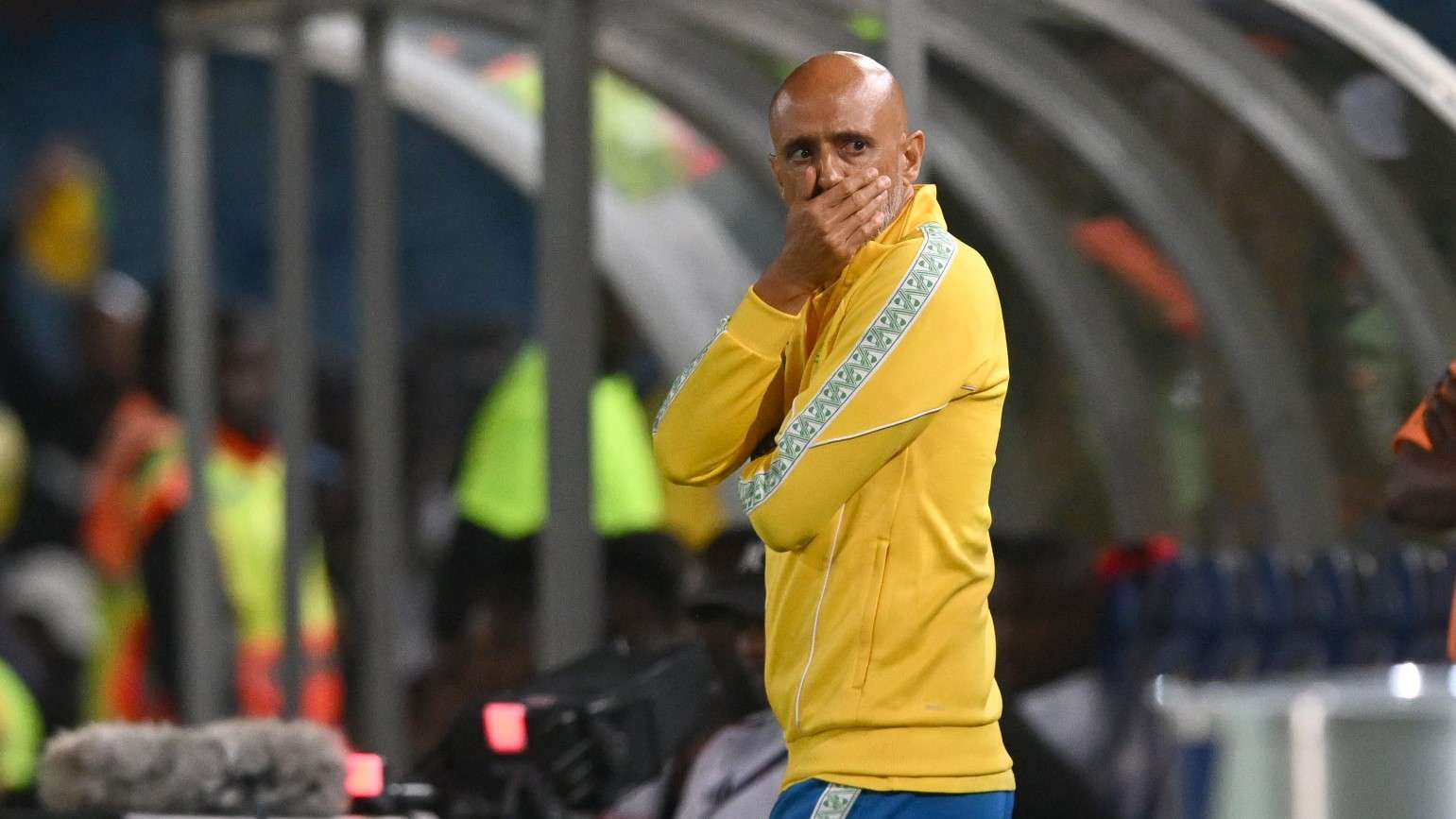 Miguel Cardoso, Mamelodi Sundowns November 2025