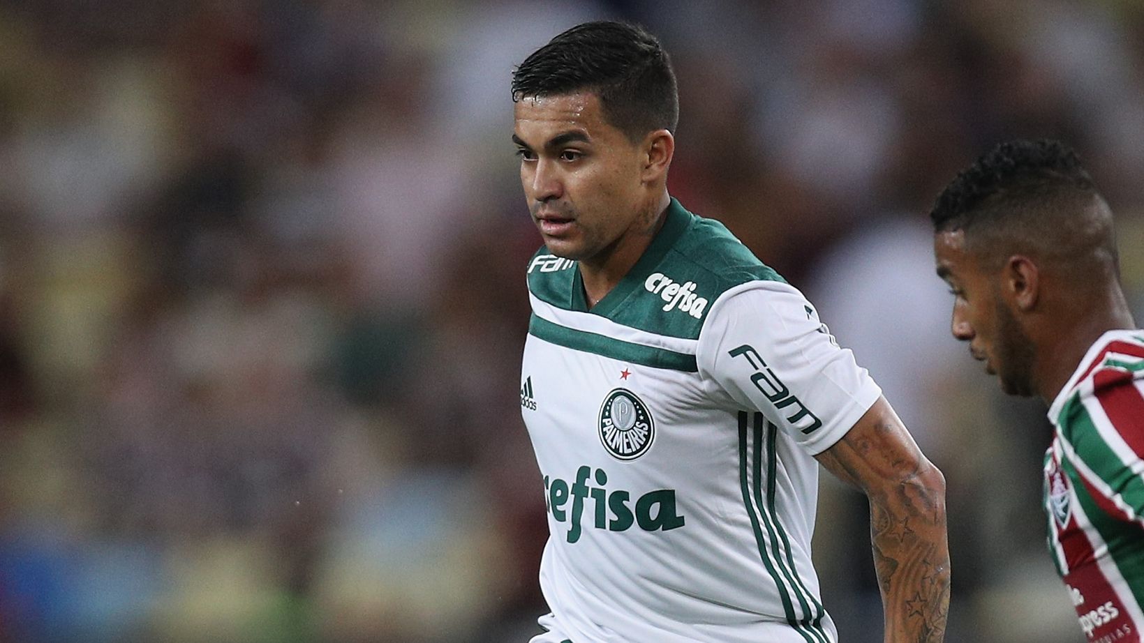 Fluminense v Palmeiras - Brasileirao Series A 2018