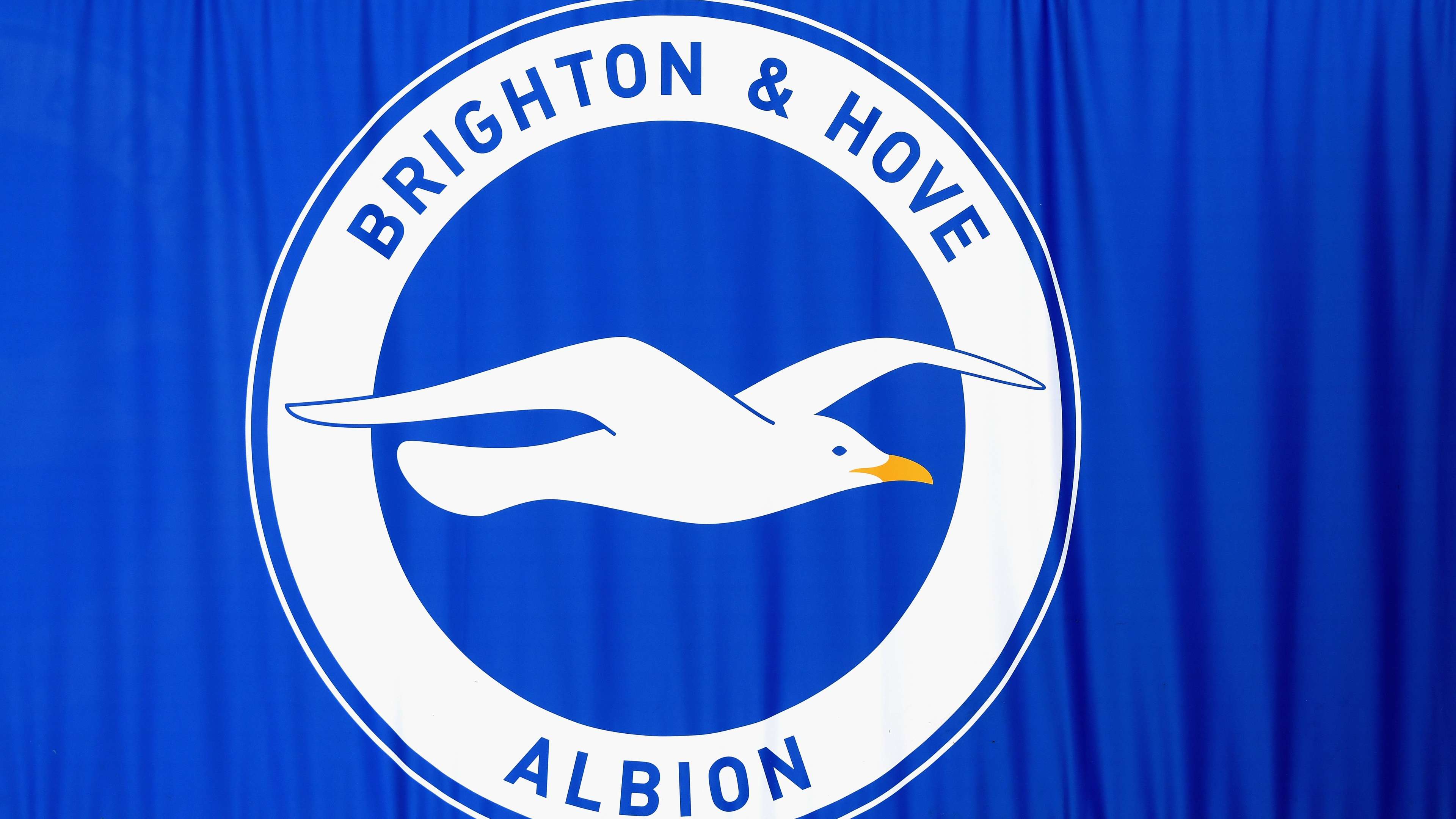 Brighton & Hove Albion v Everton FC - Premier League