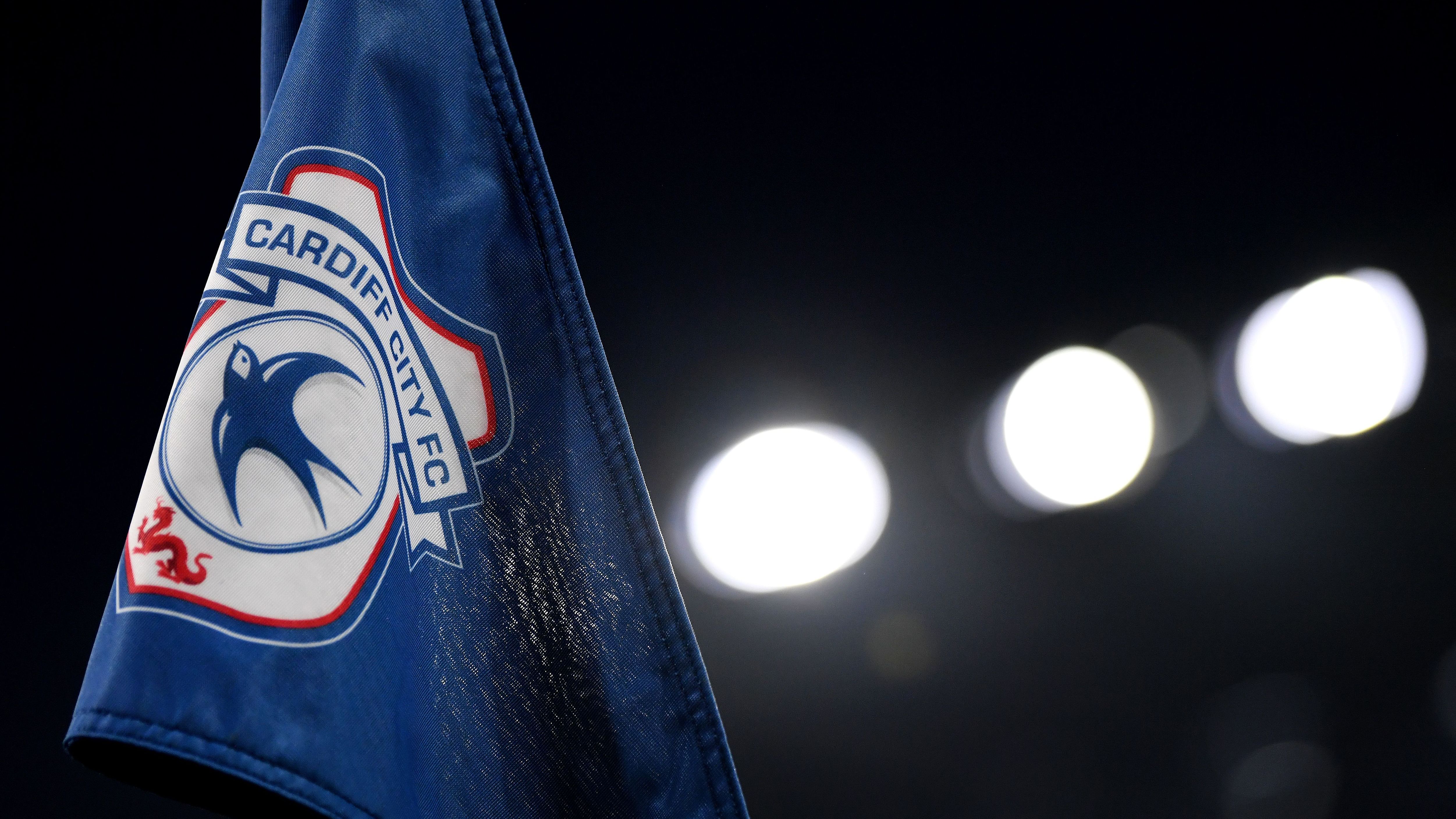 Cardiff City v Everton FC - Premier League