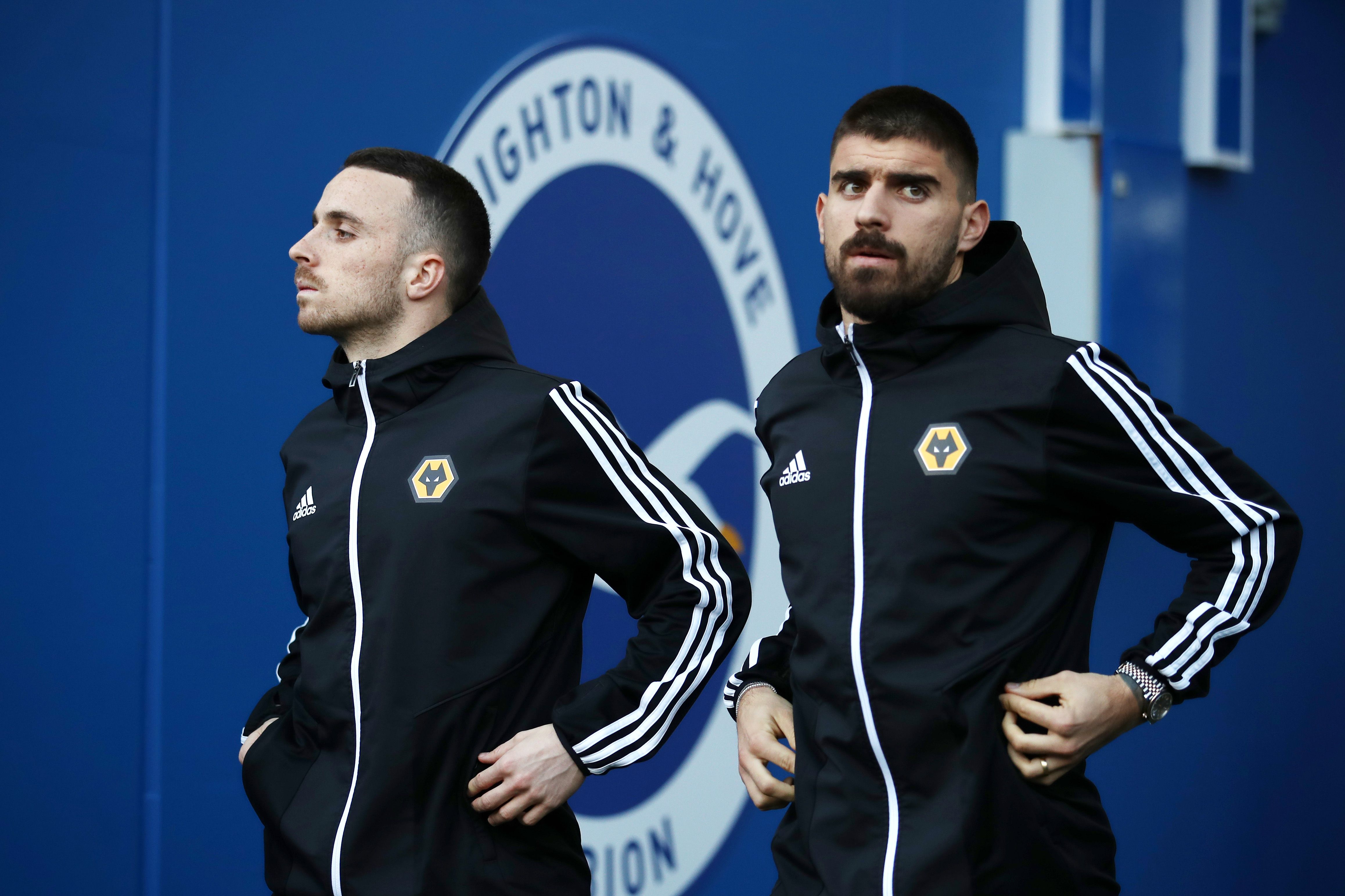 Brighton & Hove Albion v Wolverhampton Wanderers - Premier League