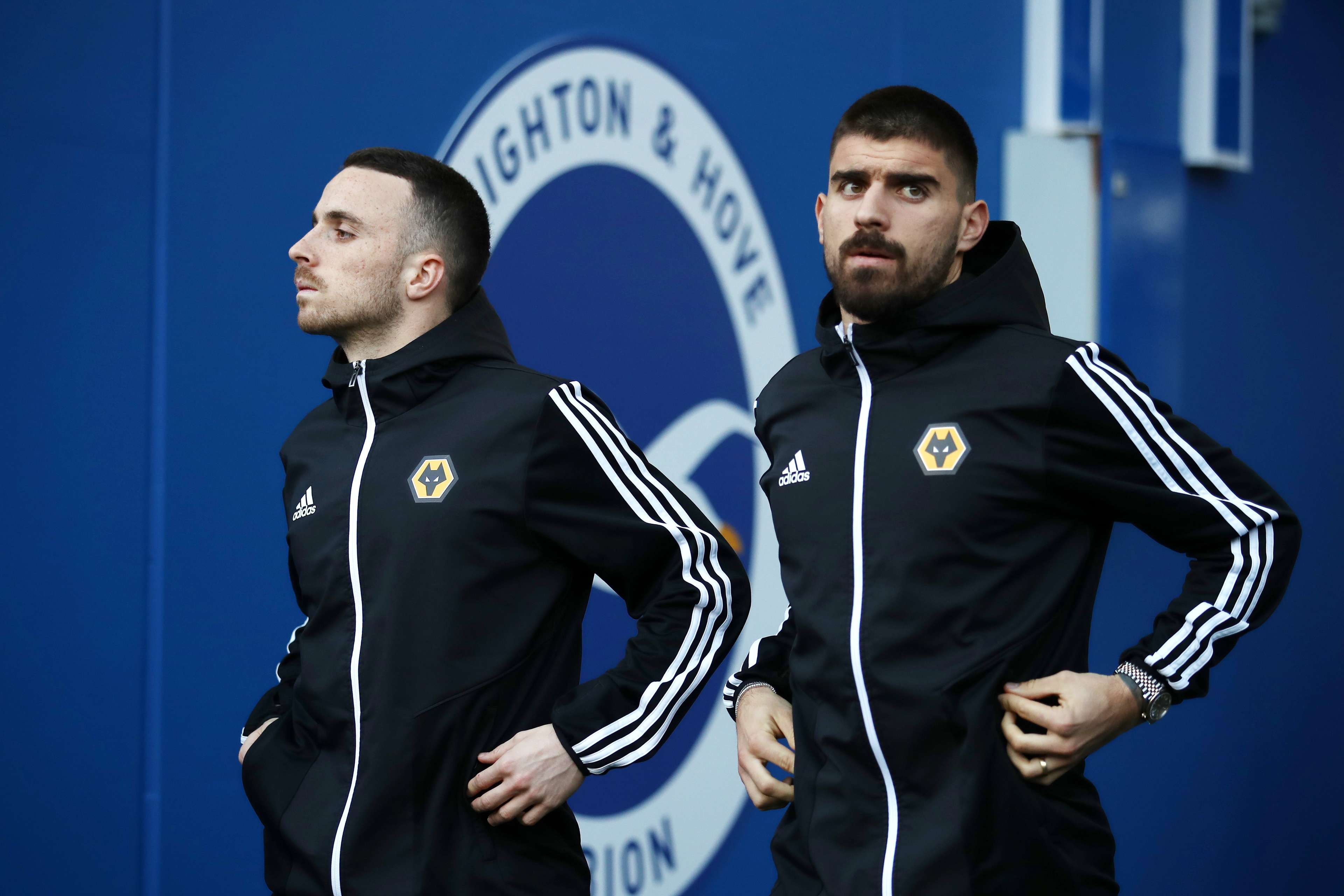 Brighton & Hove Albion v Wolverhampton Wanderers - Premier League