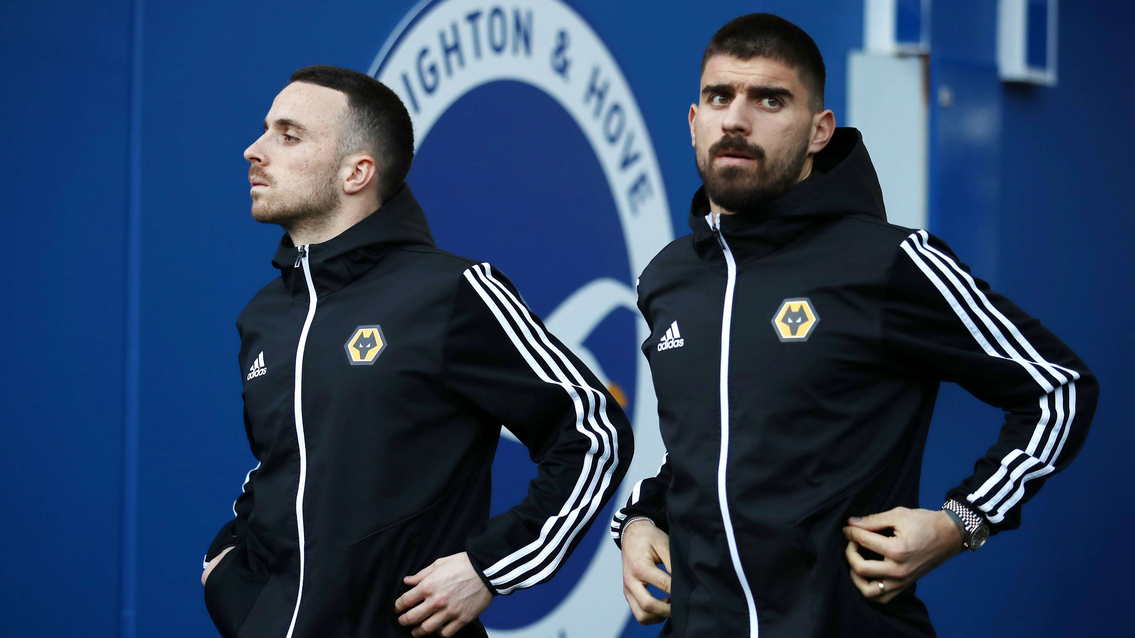 Brighton & Hove Albion v Wolverhampton Wanderers - Premier League Jota