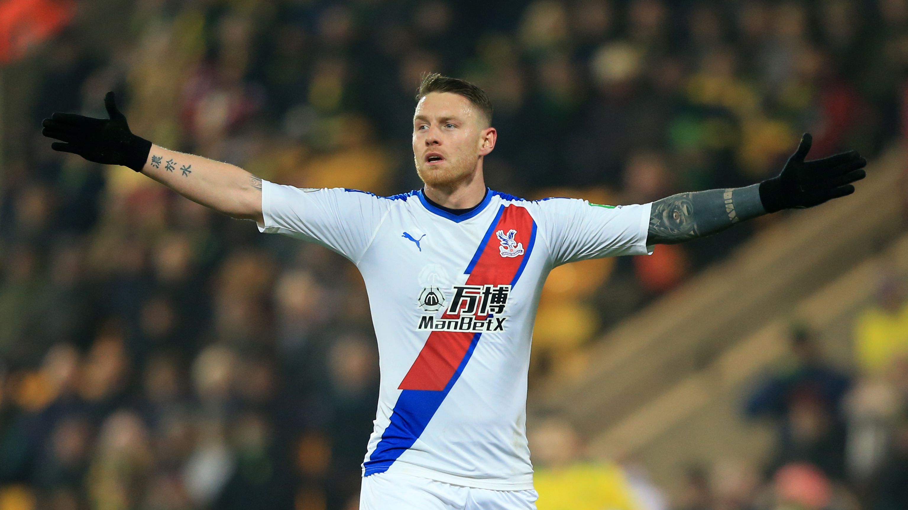 Norwich City v Crystal Palace - Premier League