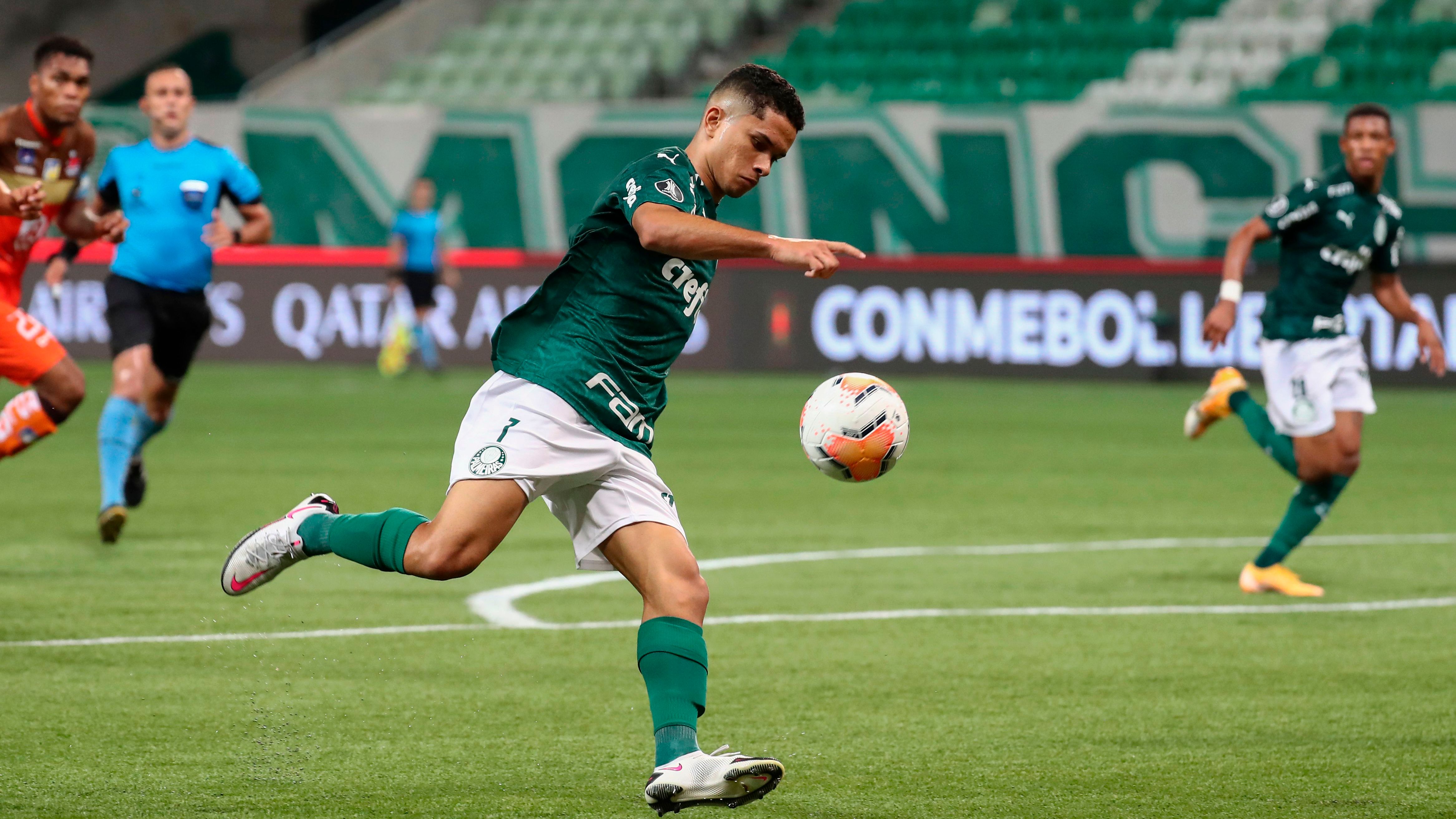 FBL-LIBERTADORES-PALMEIRAS-DELFIN