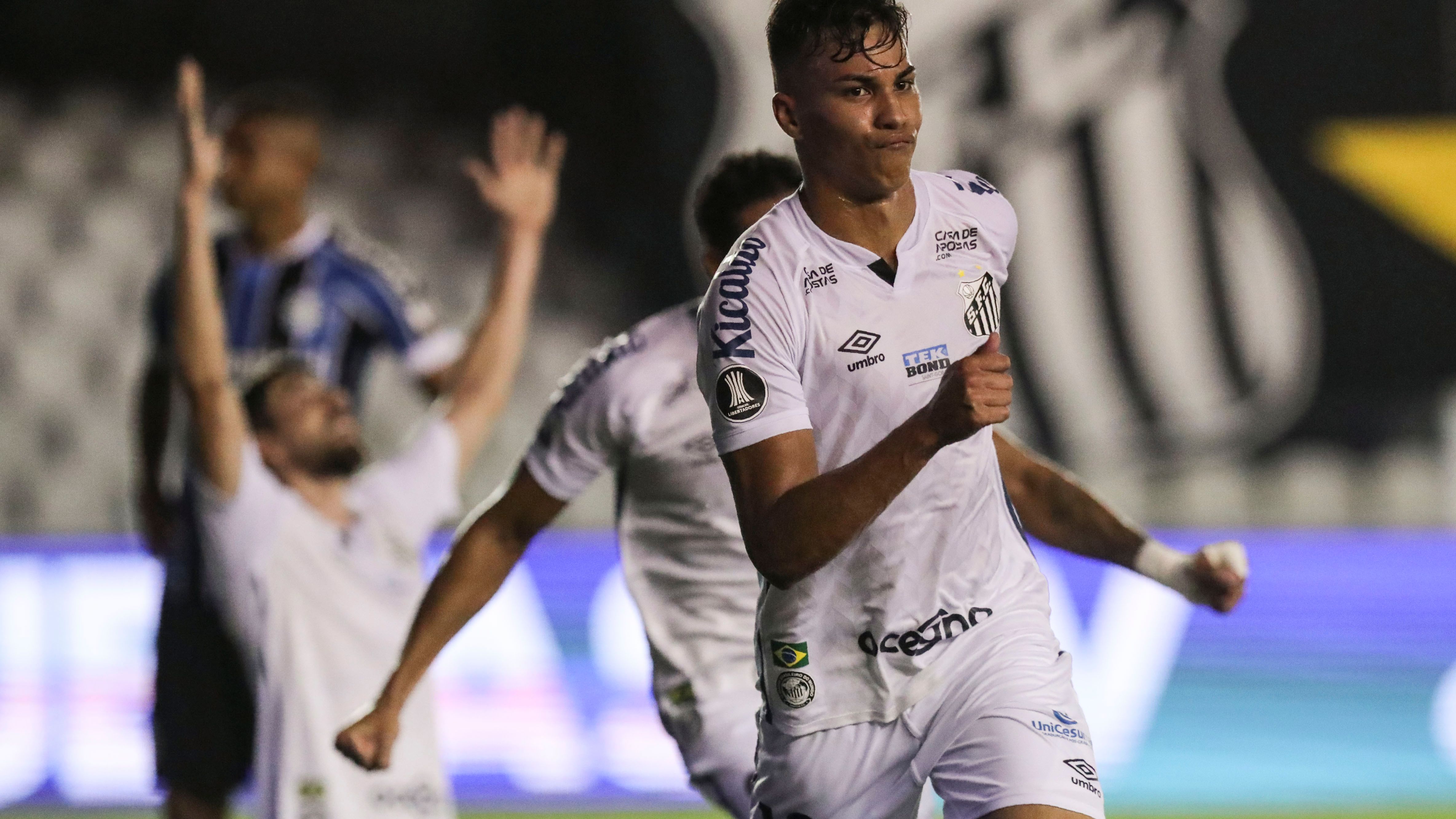 FBL-LIBERTADORES-SANTOS-GREMIO